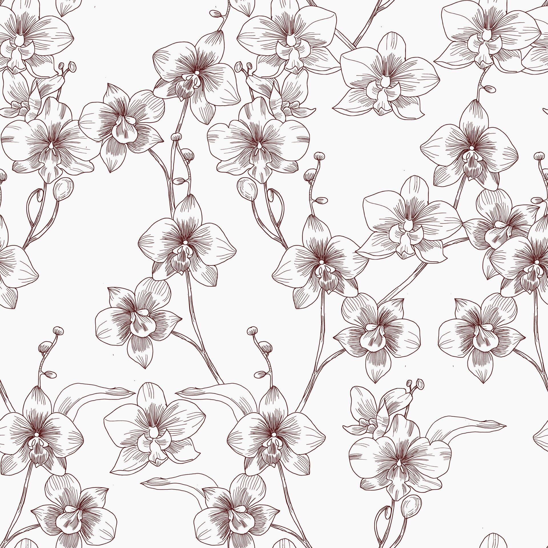 Hand Drawn Orchid Flower Seamless Pattern Stock Free