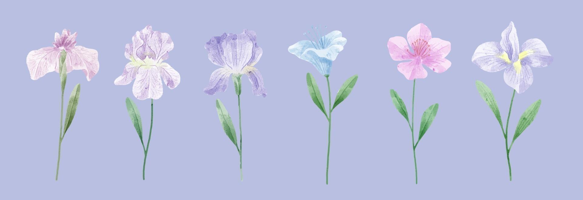 A set of flowers painted in watercolor for designer work create Stock Free