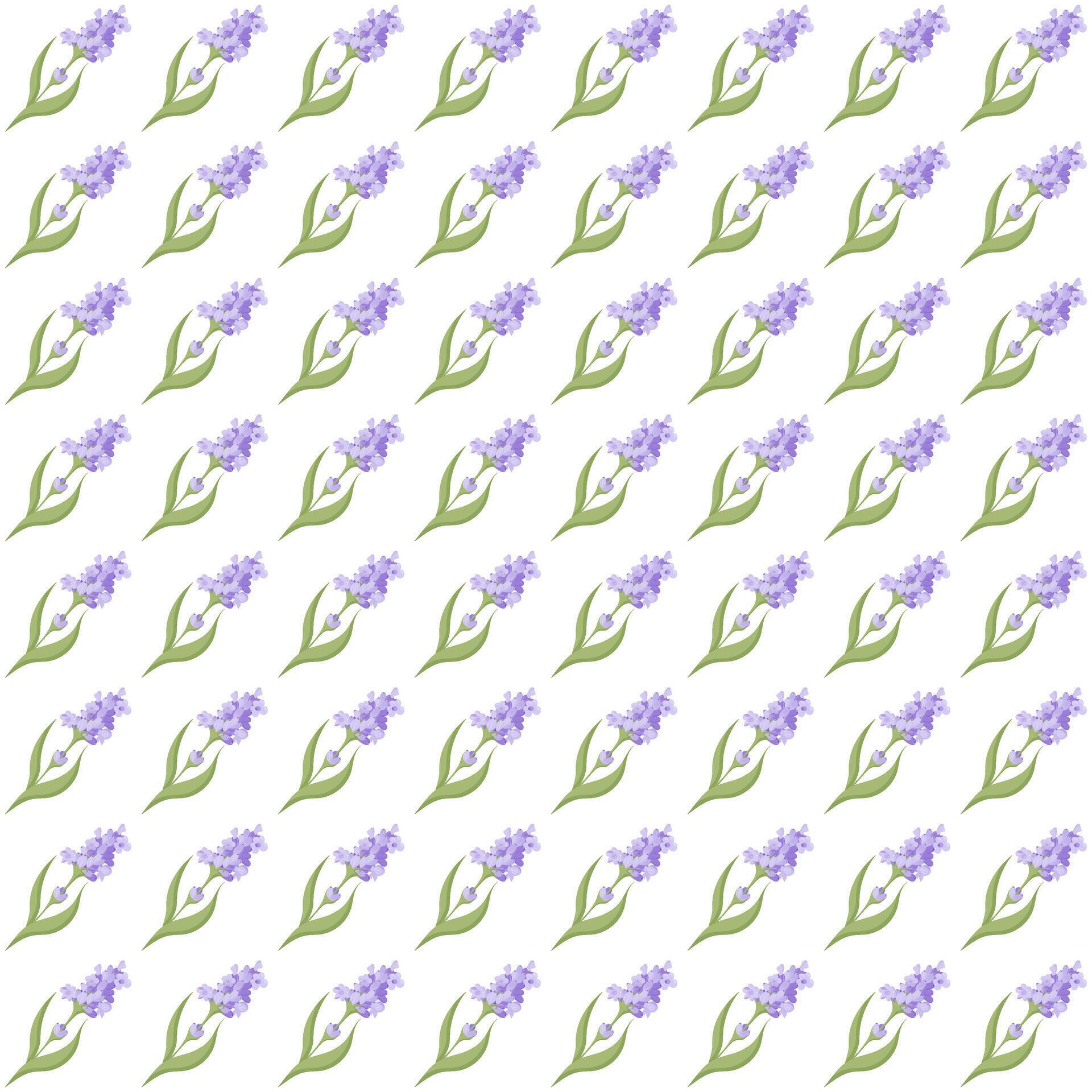 A sprig of lavender. Purple flower. Seamless pattern. illustration. Stock Free