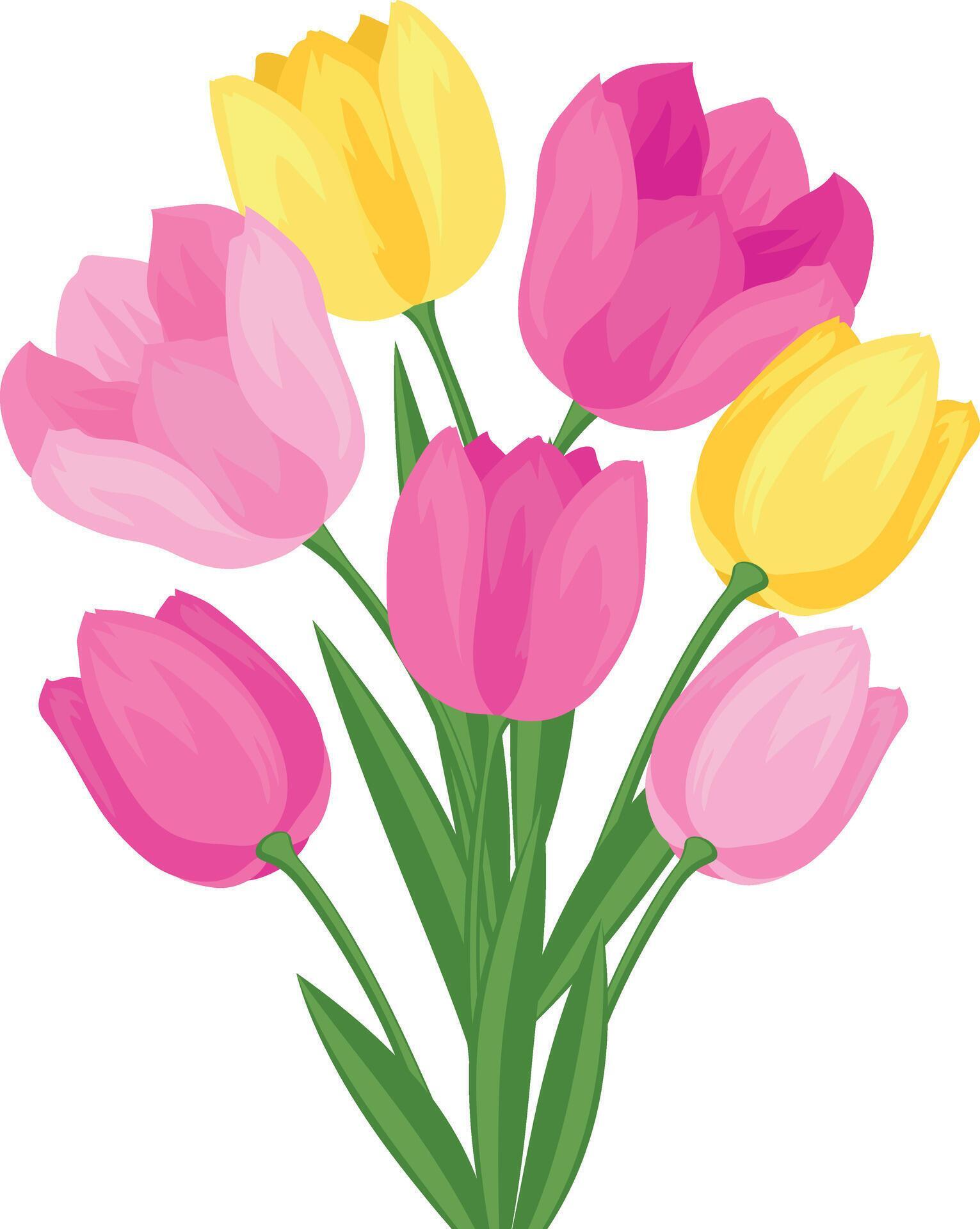 Tulip flower bouquet illustration Stock Free