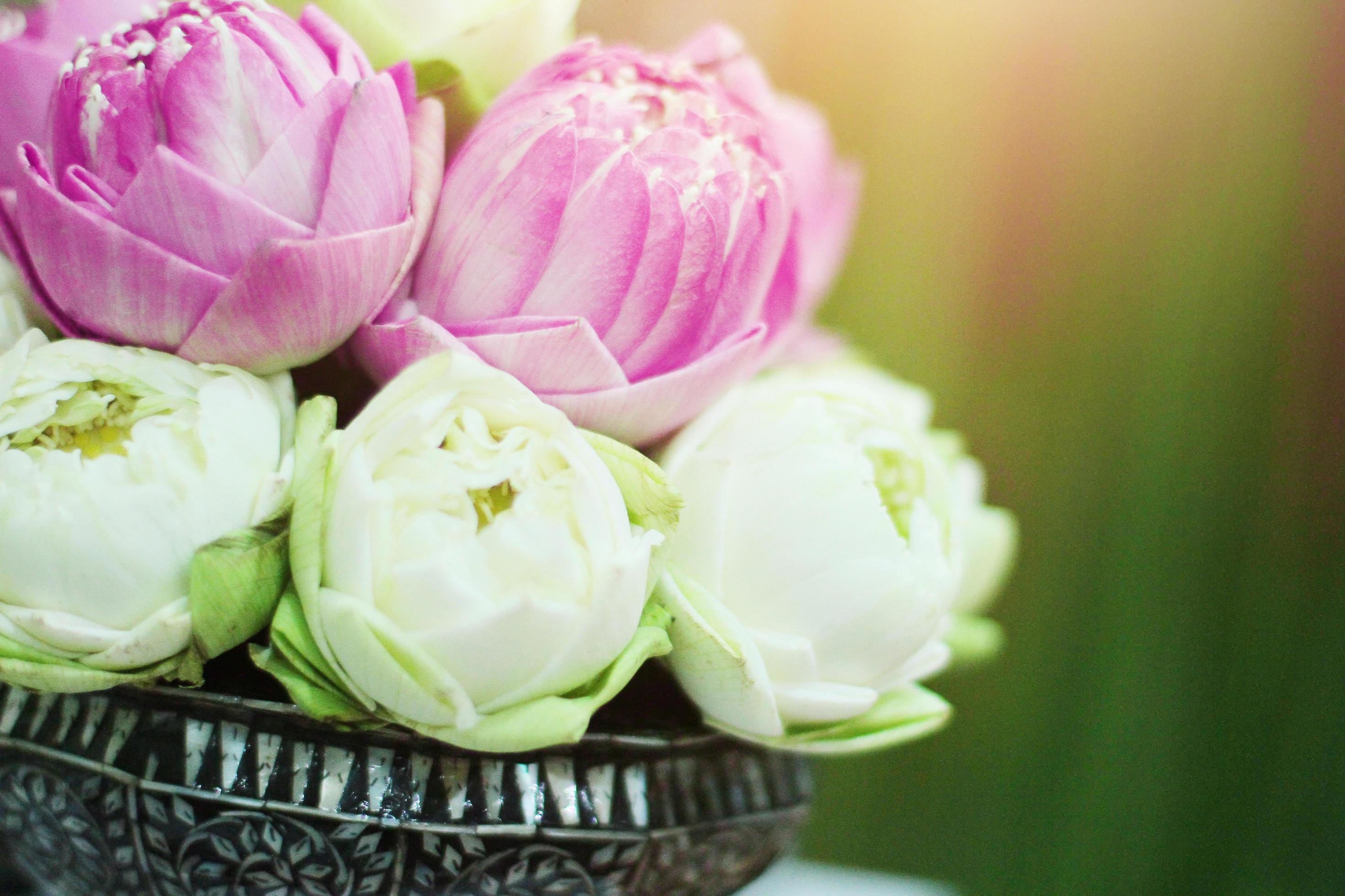 Beautiful pink lily and lotus flowers decoration on Engagement bowl for pray Buddha statue.Thai wedding culture tradition. Stock Free