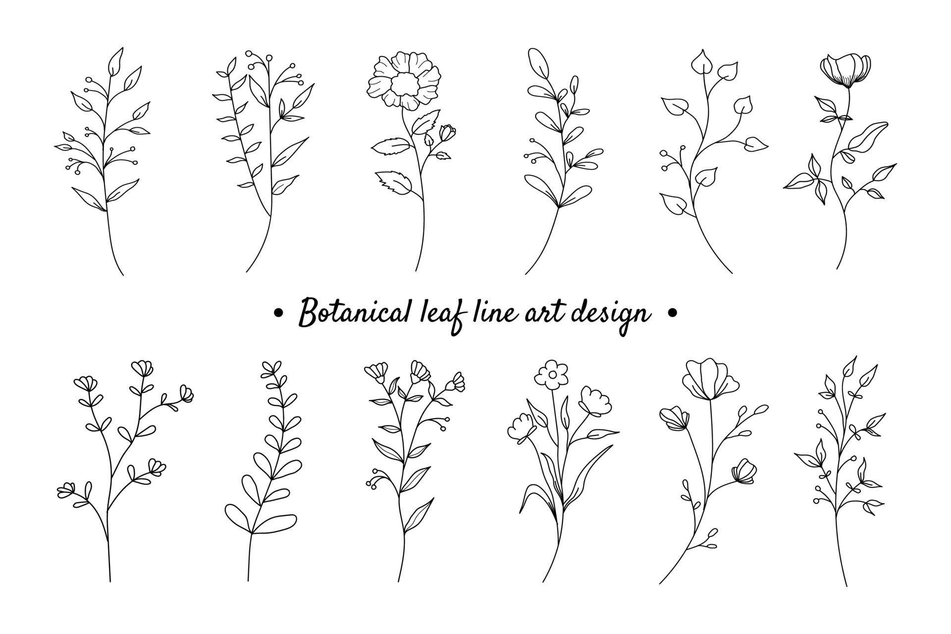 Set of botanical plant with flowers line art element design Stock Free