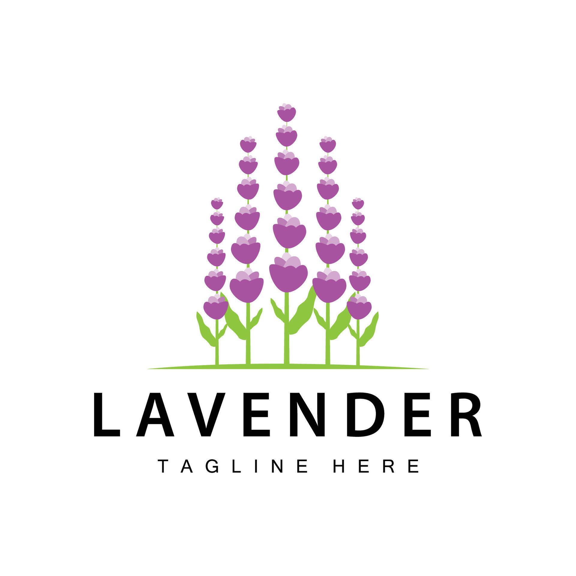 Lavender logo simple design vector cosmetic plant purple color and aromatherapy lavender flower garden template Stock Free