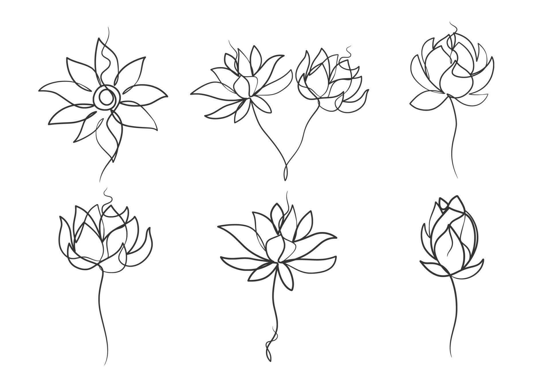 Continuous one line art drawing of beauty lotus flower Stock Free