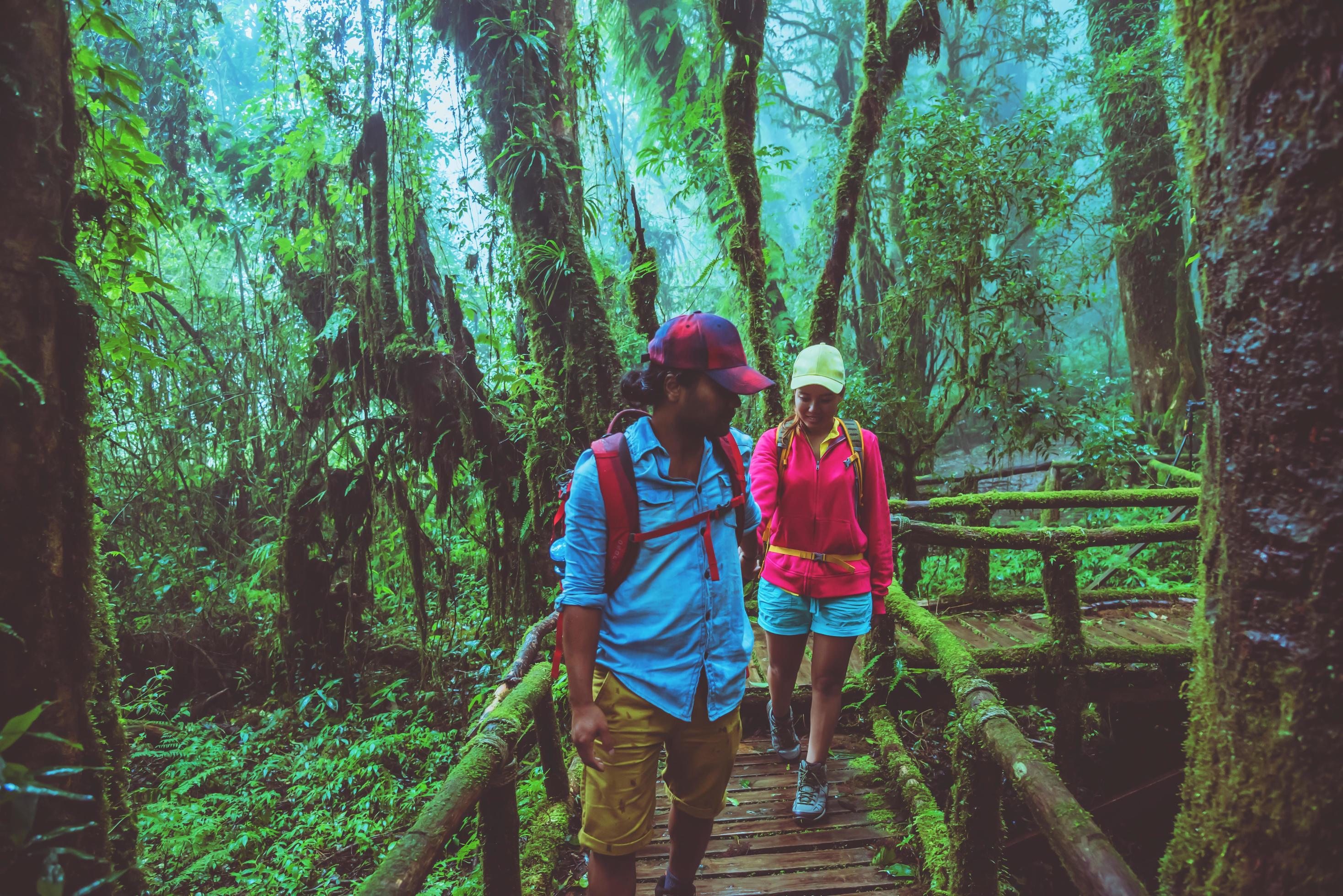 Lover asian man and asian women travel nature. Nature Study in the rain forest at Chiangmai in Thailand. Stock Free