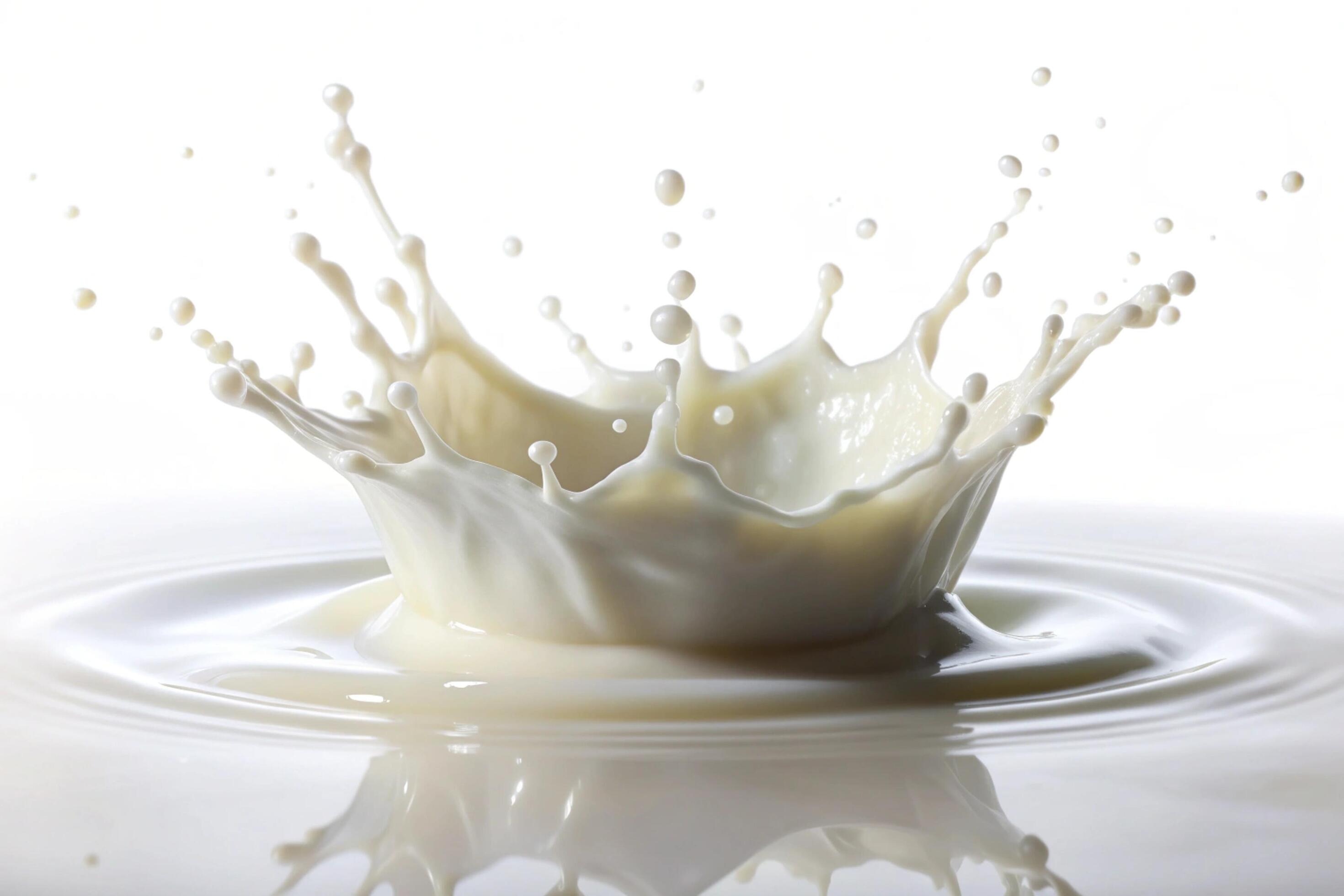 Milk splashes on white background Stock Free