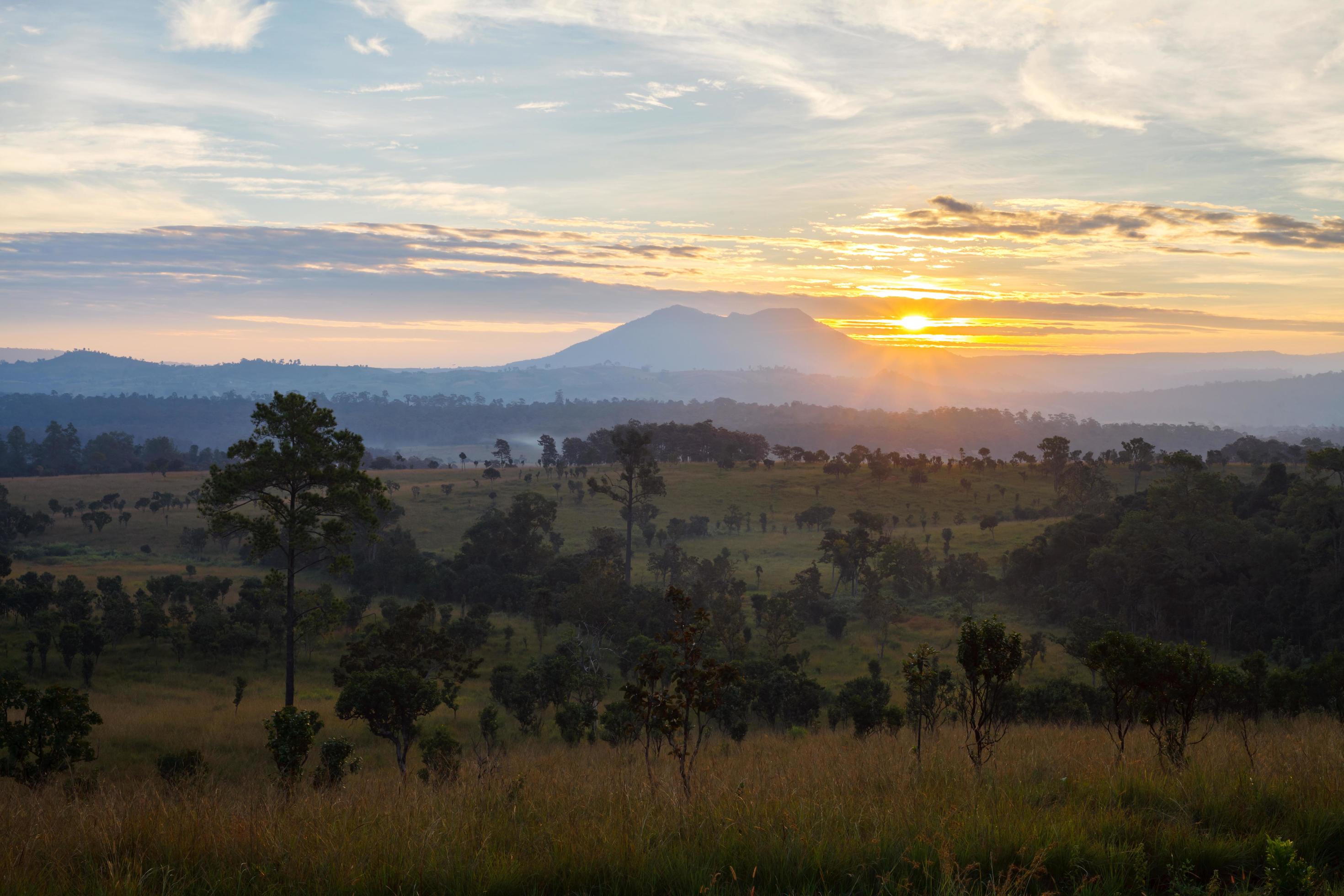 Misty morning sunrise at Thung Salang Luang National Park Phetchabun,Tung slang luang is Grassland savannah in Thailand. Stock Free