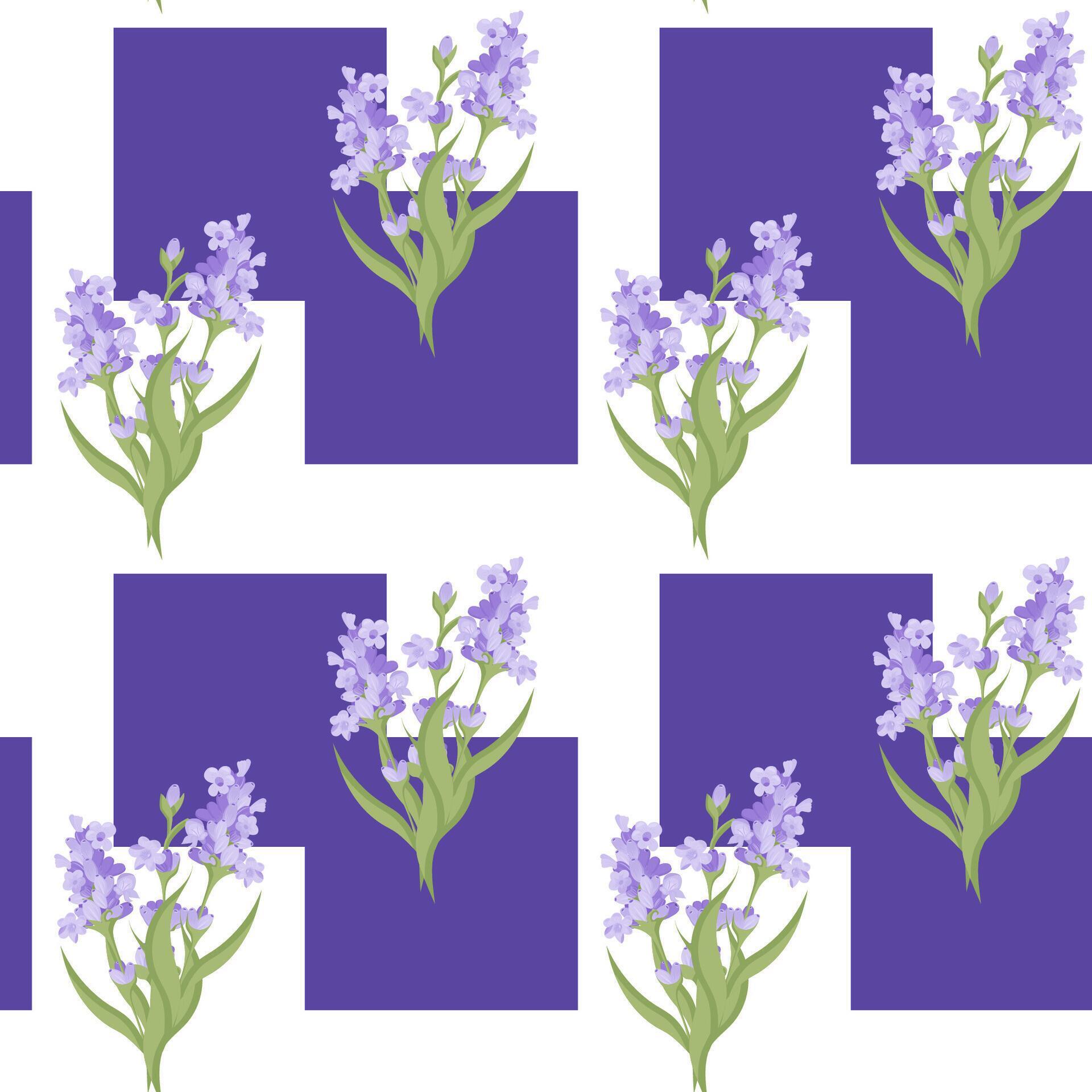 A sprig of lavender. Purple flower. Seamless pattern. illustration. Stock Free