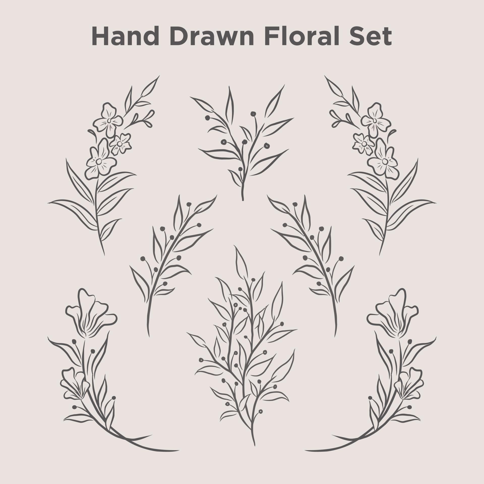 set of hand drawn flower Stock Free