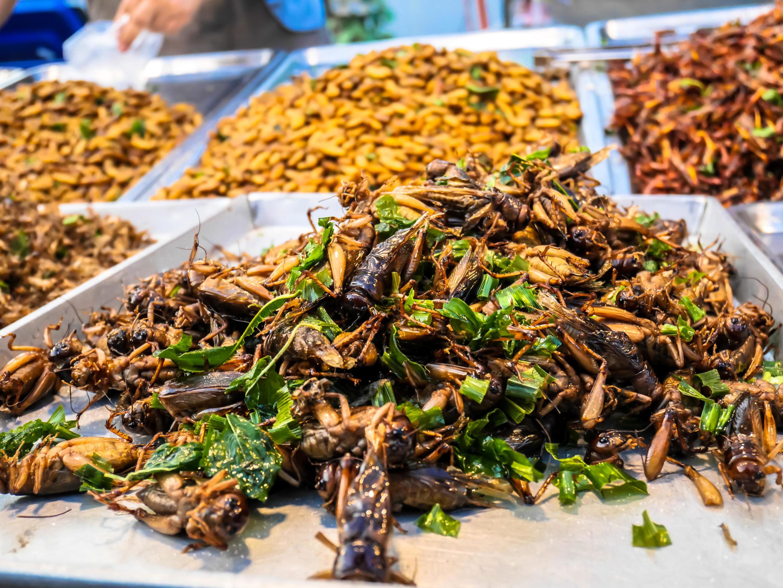 Fried insects in the night market street food of Thailand Stock Free