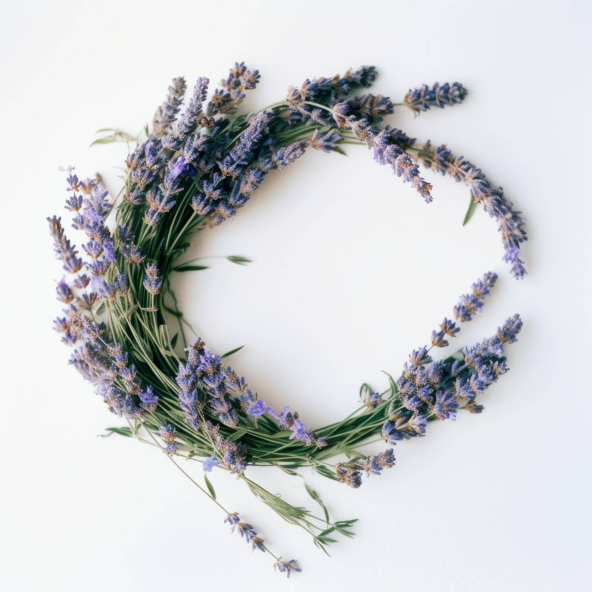 Lavender flower wreath. Illustration Stock Free