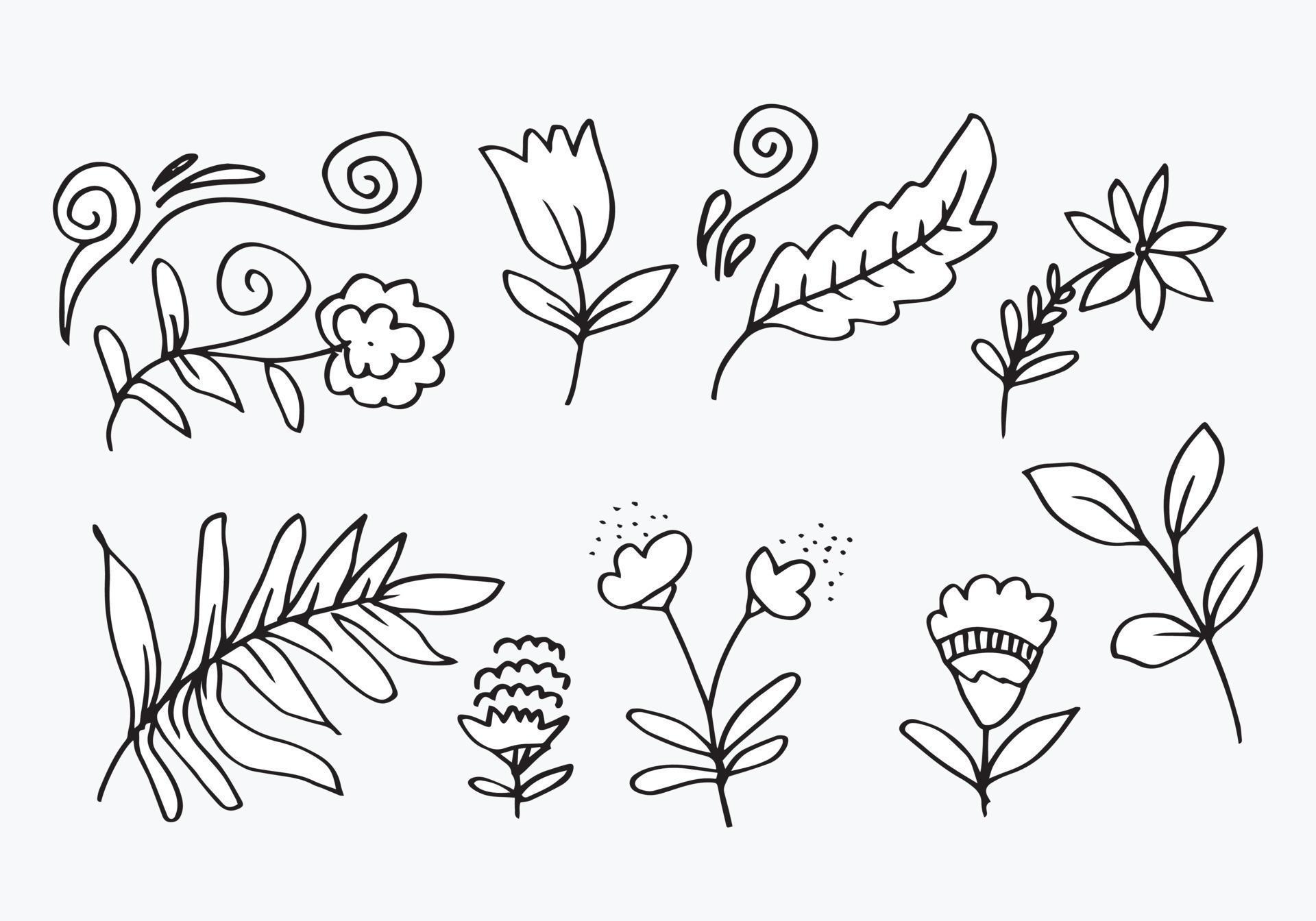 a collection of hand-drawn flower images such as bellflower, chrysanthemums, sunflowers, cotton flowers, and tropical leaves Stock Free