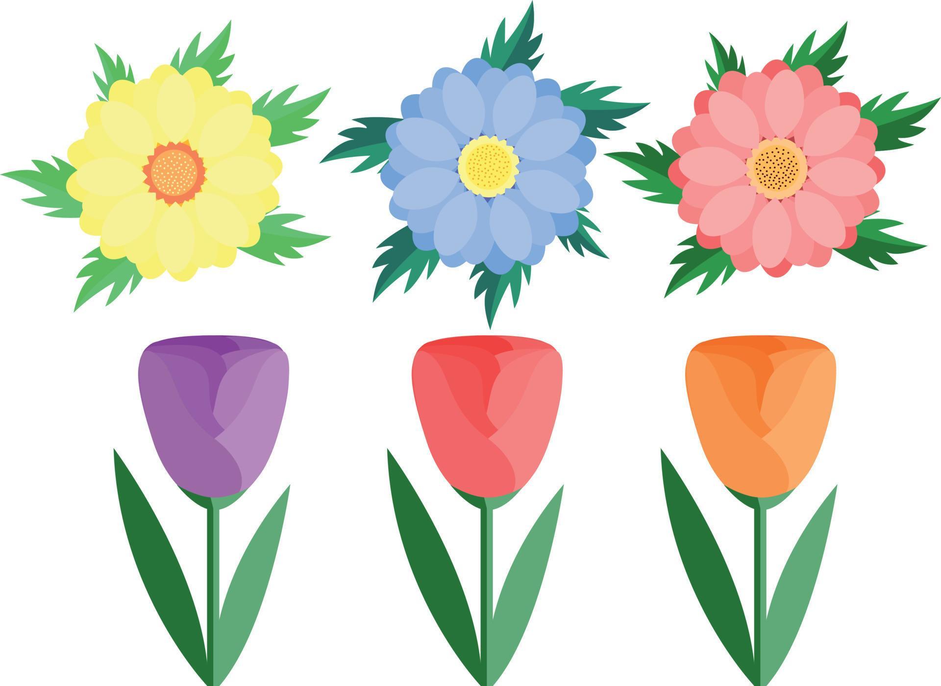 Spring flowers. Vector design flat Stock Free