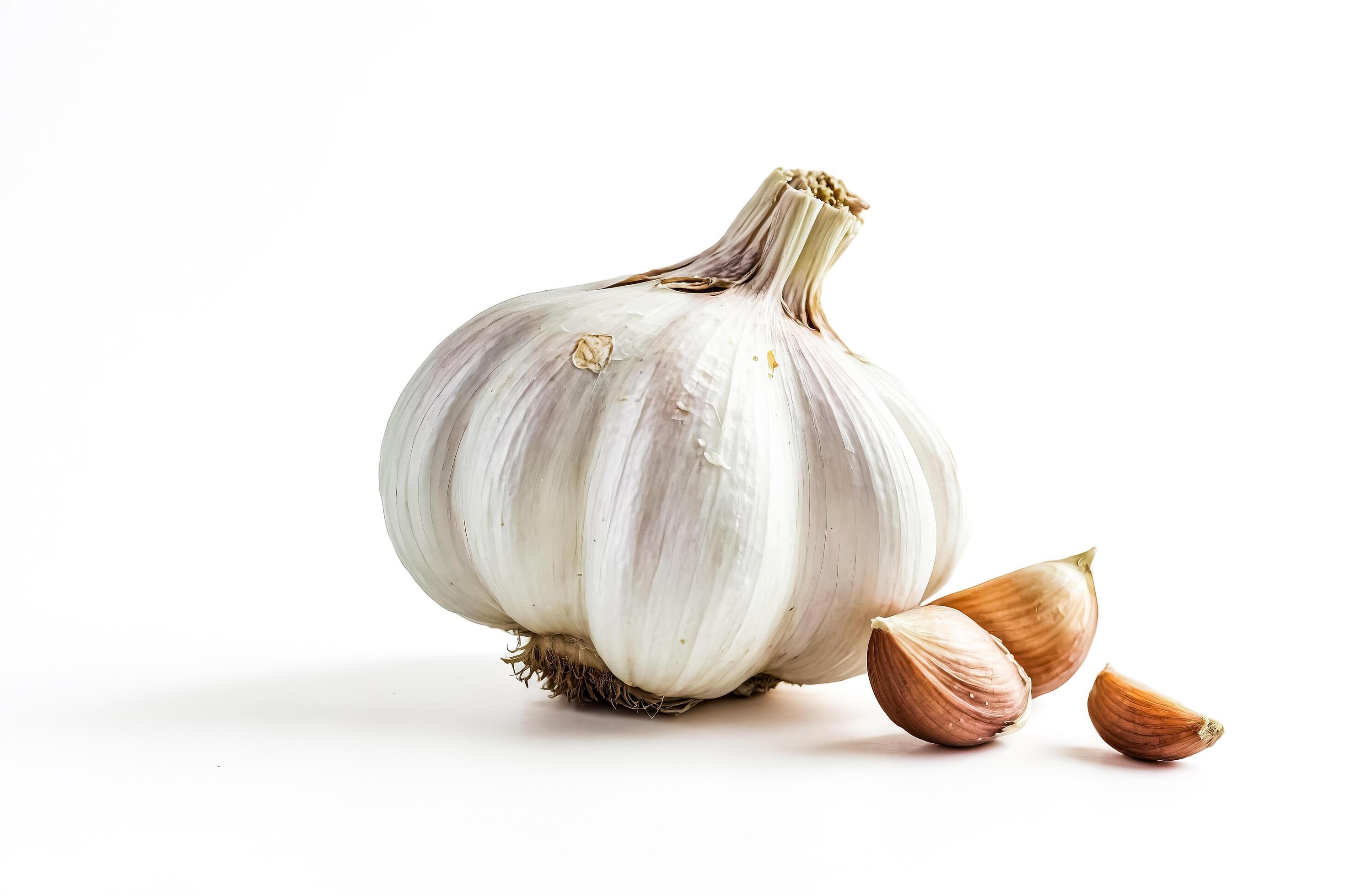 Garlic Bulb and Cloves Isolated on White Background Stock Free