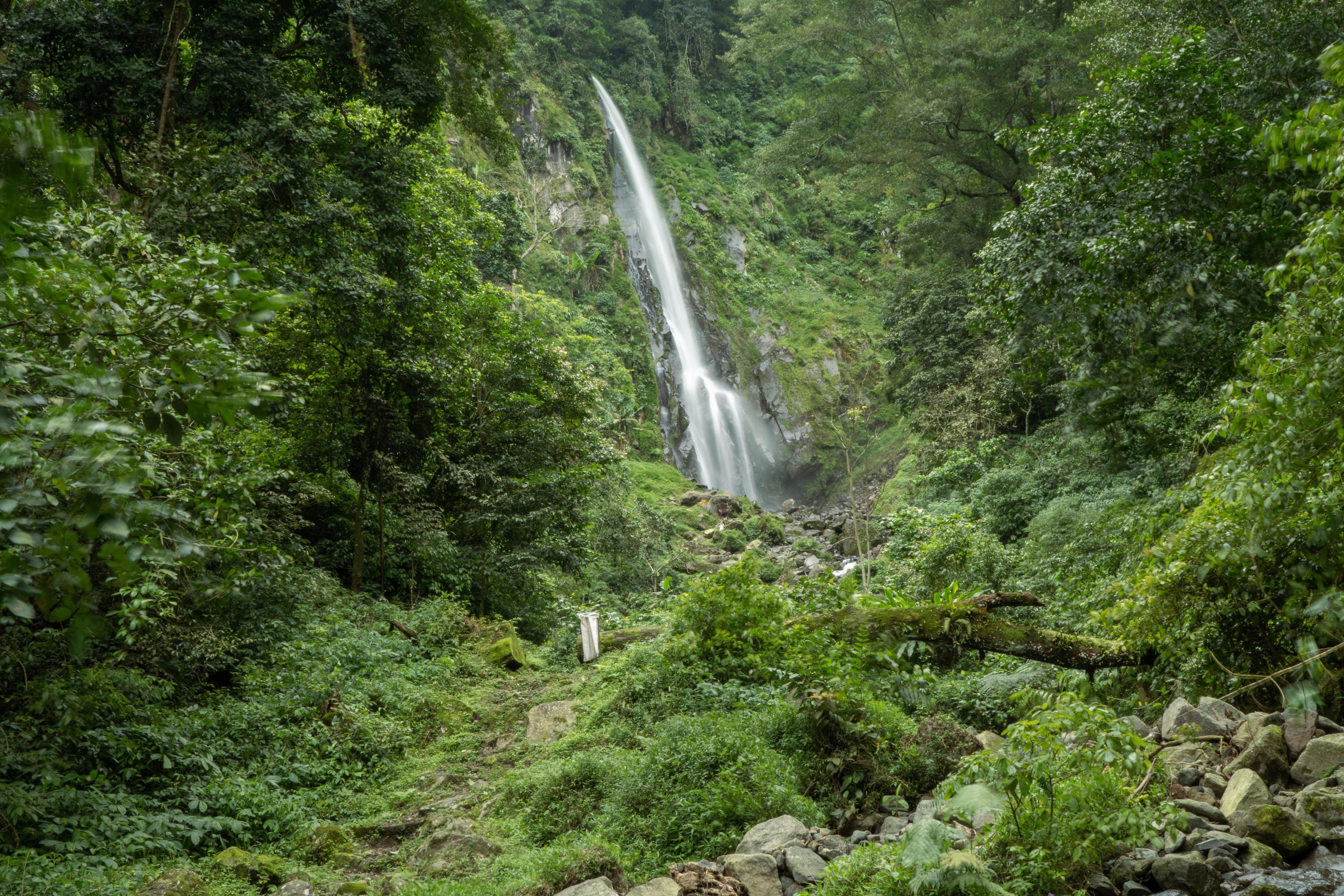 Scenery of single water fall on the tropical forest. The photo is suitable to use for adventure content media, nature poster and forest background. Stock Free