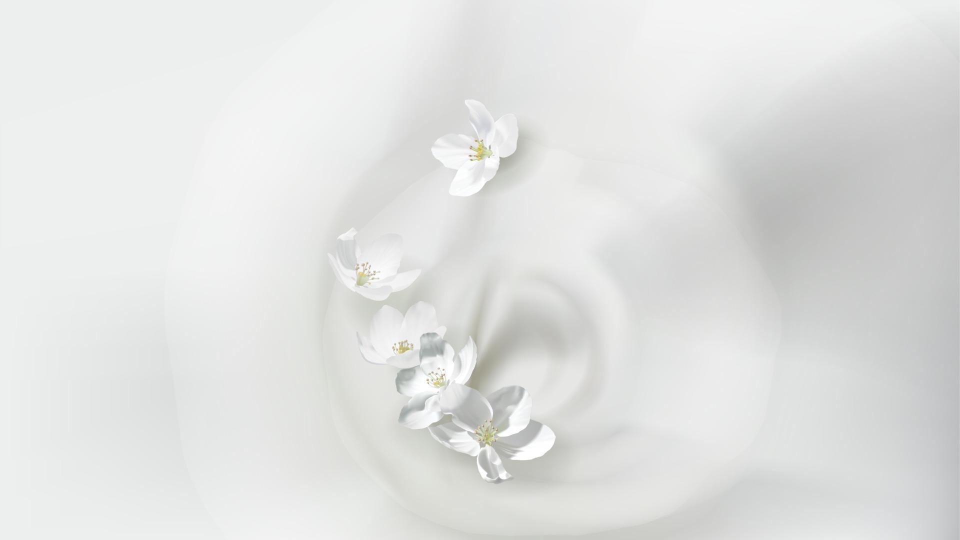 Poster with pouring milk, falling jasmine flower Stock Free