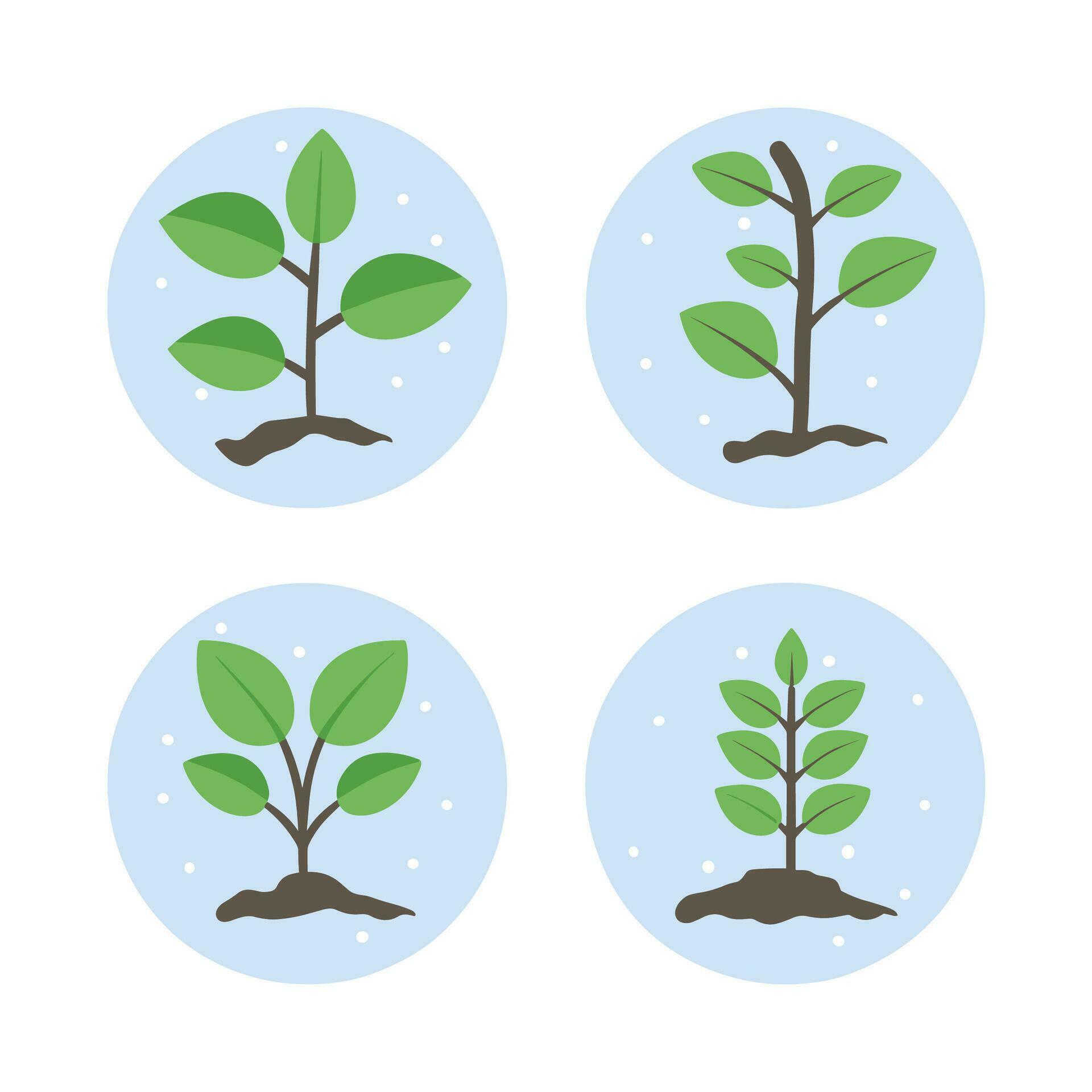 Flowers and plants seedling process flat icons set isolated vector illustration. Stock Free