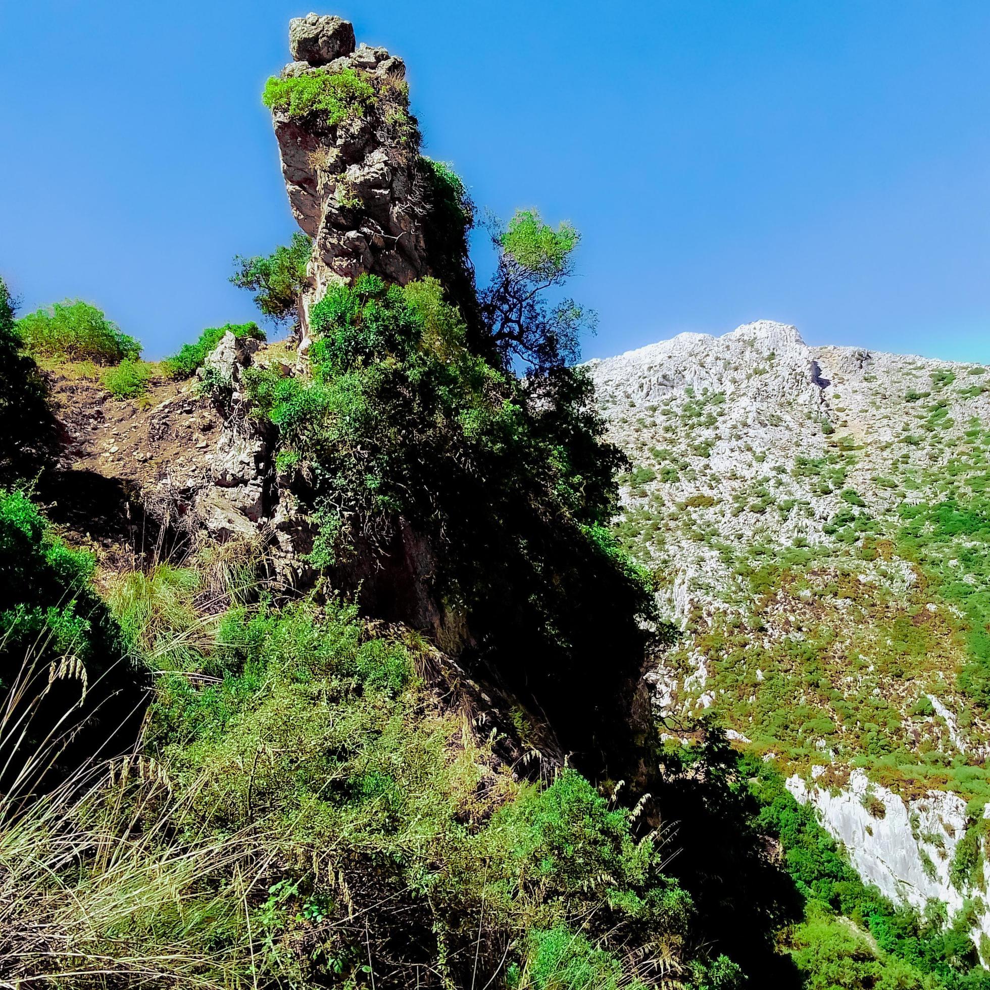 Hill top in mountainous nature Stock Free