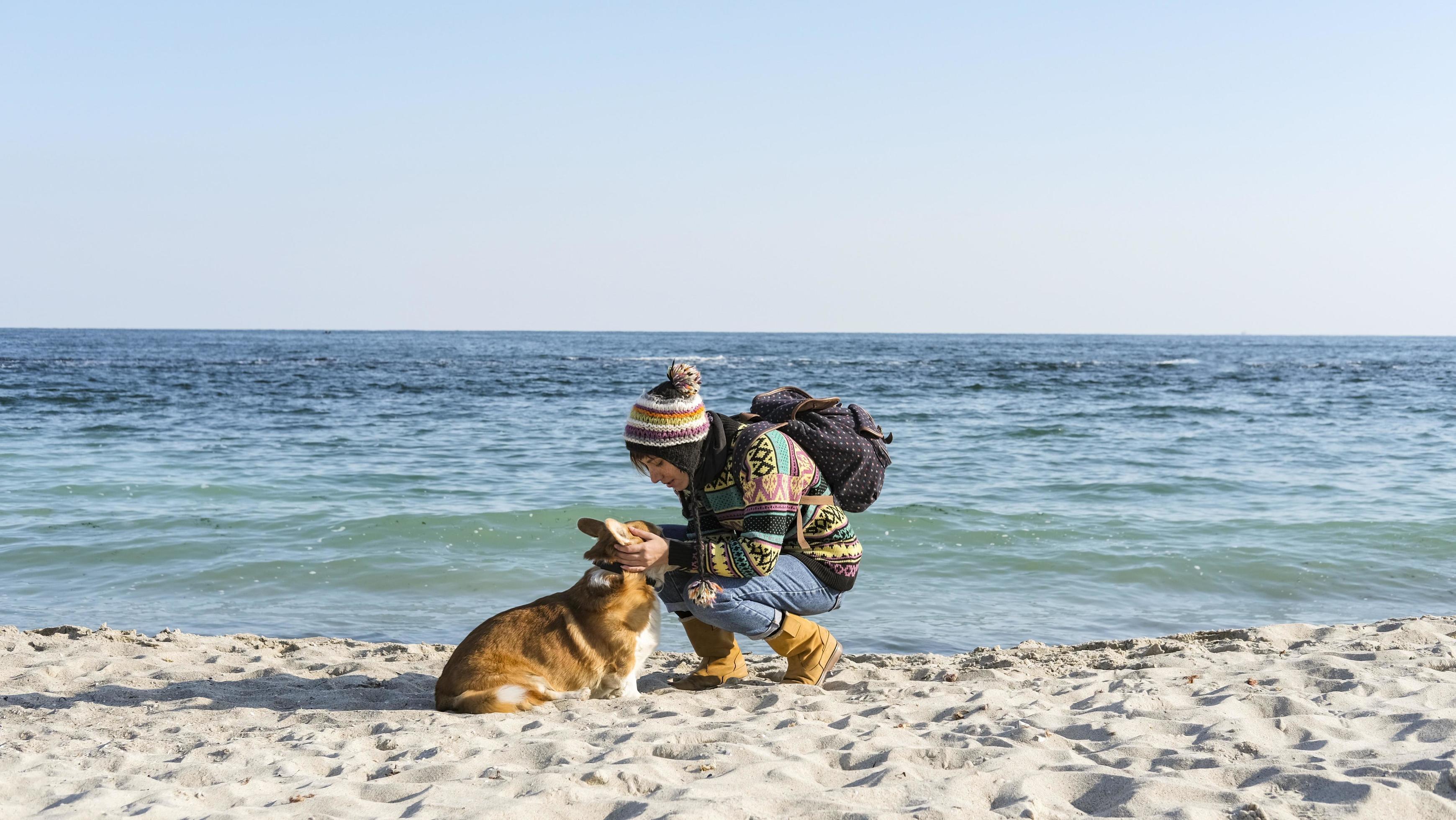 Young happy female walk with cute corgi dog on the autumn sunny beach Stock Free