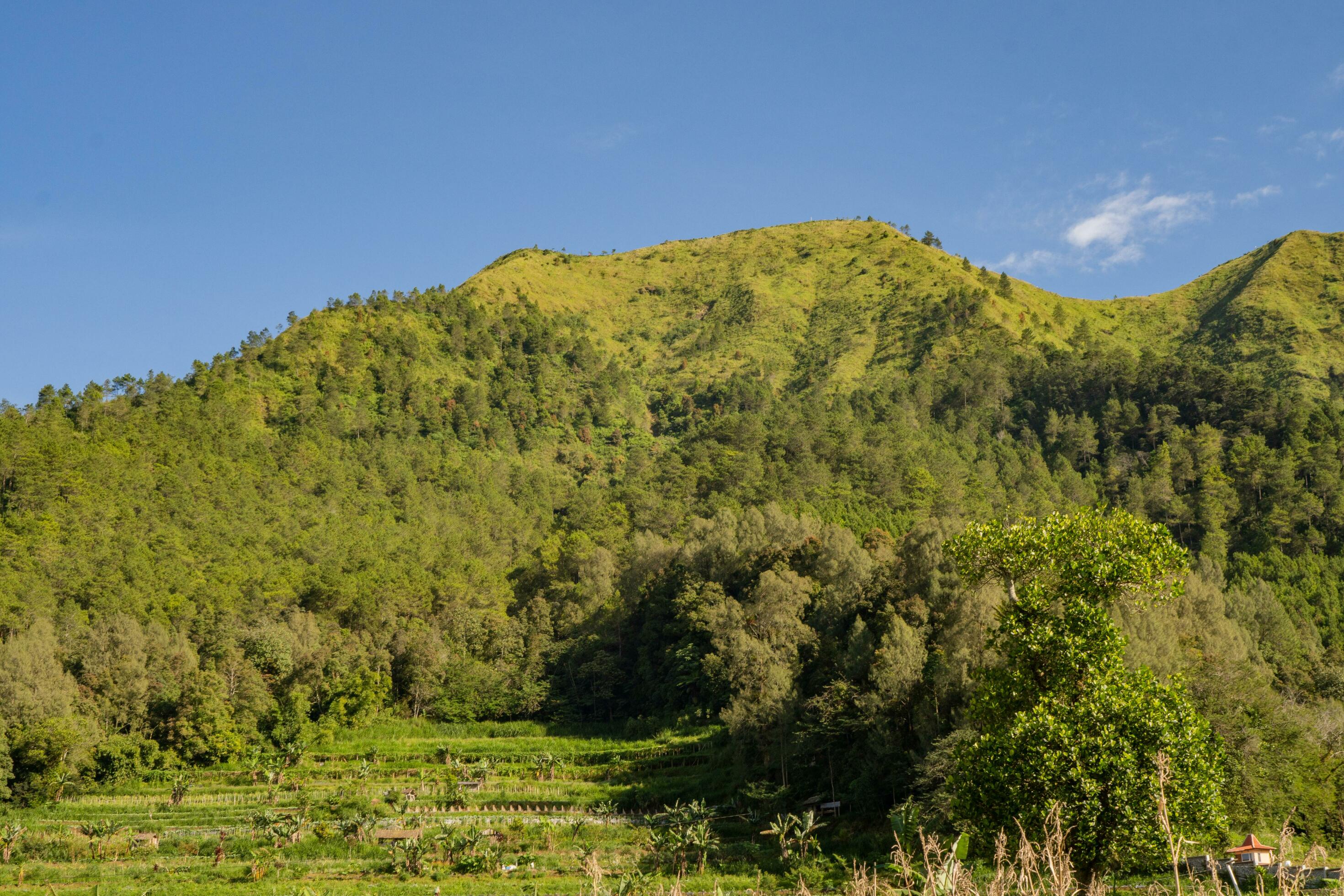 Landscape mountain when morning time sunlight summer vibes. The photo is suitable to use for adventure content media, nature poster and forest background. Stock Free