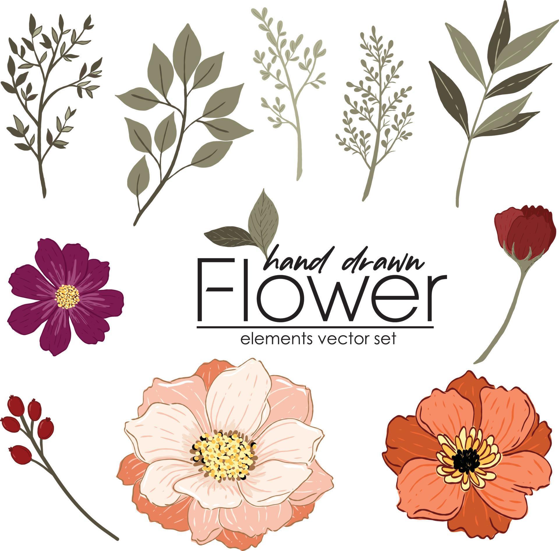 vector set of hand drawn flower and leave Stock Free