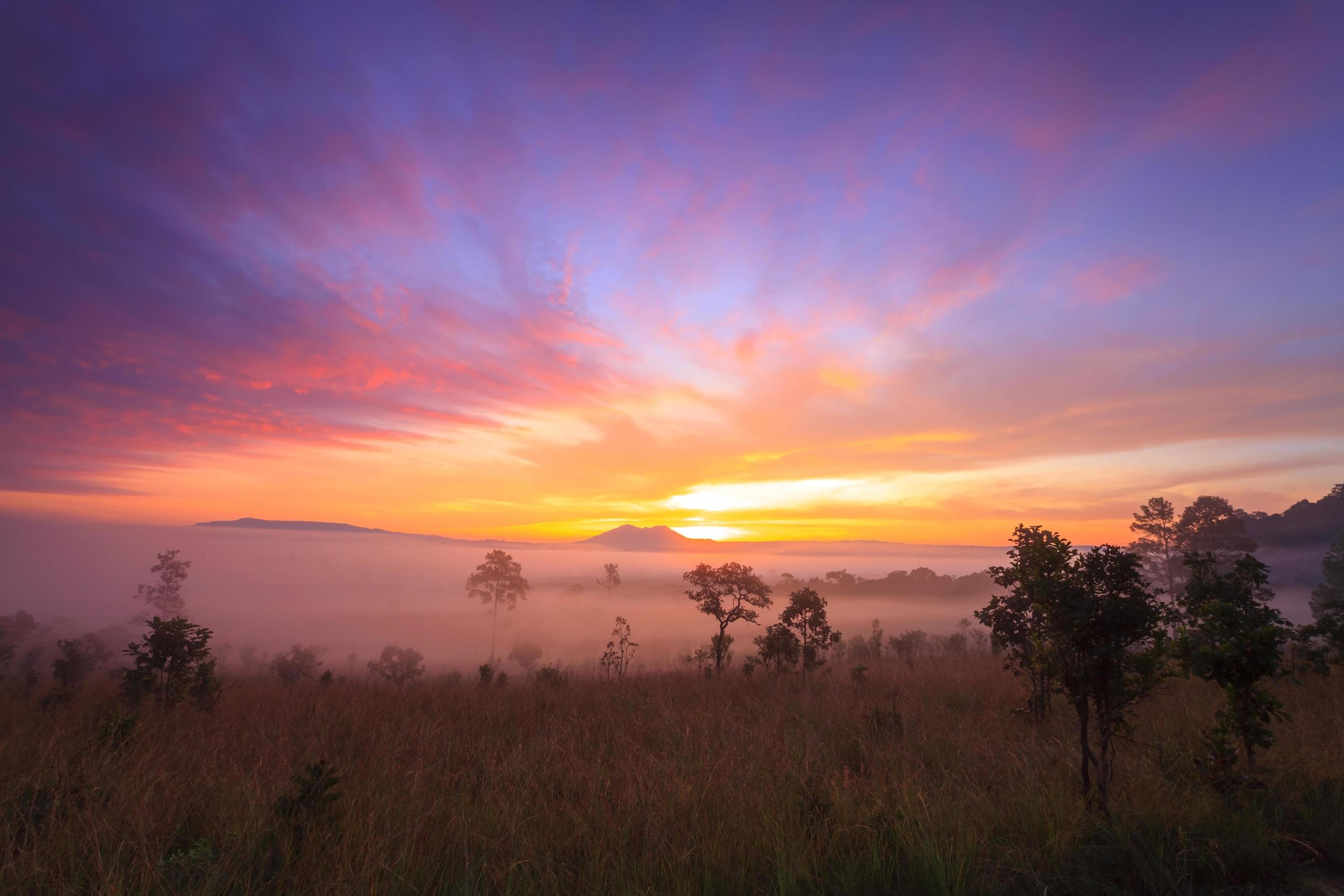 misty morning sunrise in mountain at Thung Salang Luang National Park Phetchabun,Thailand Stock Free