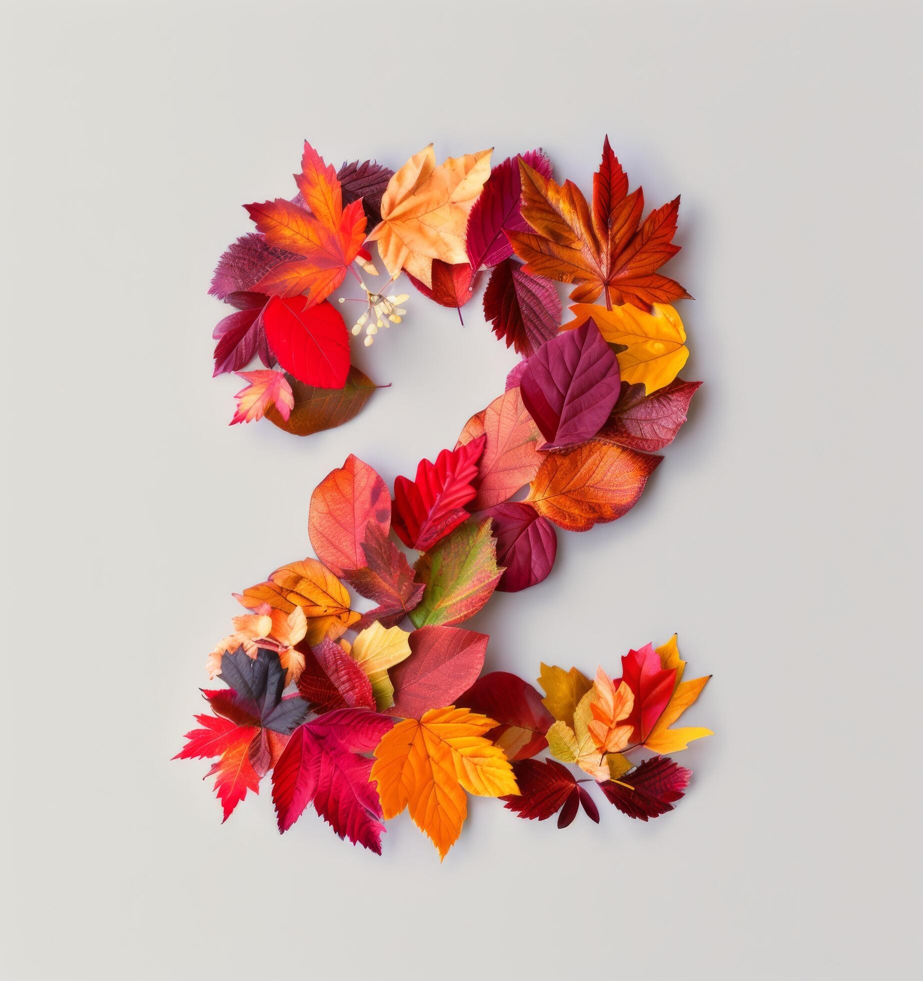 Colorful Autumn Leaves Forming The Number Two On A White Background Stock Free