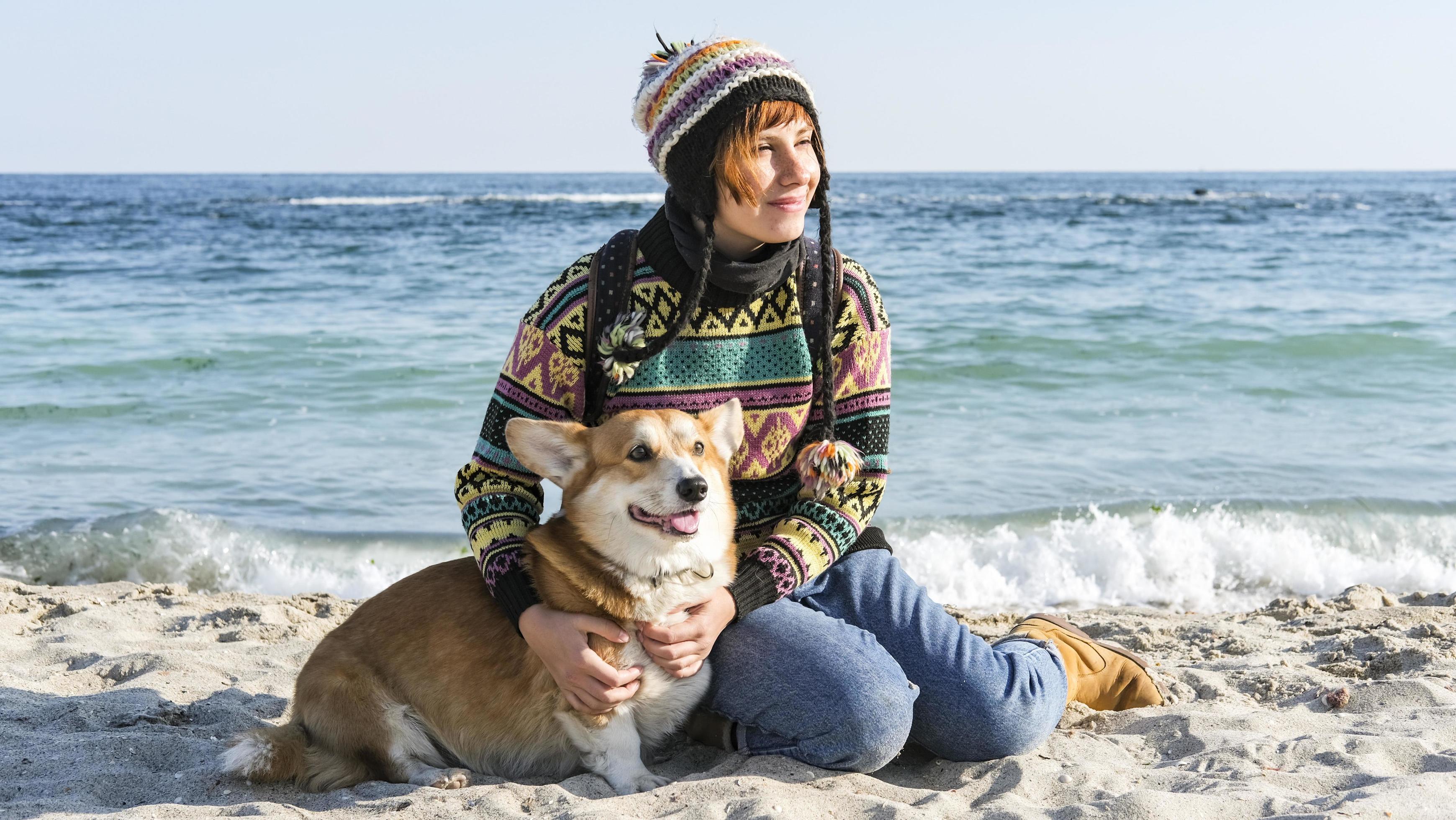 Young happy female walk with cute corgi dog on the autumn sunny beach Stock Free