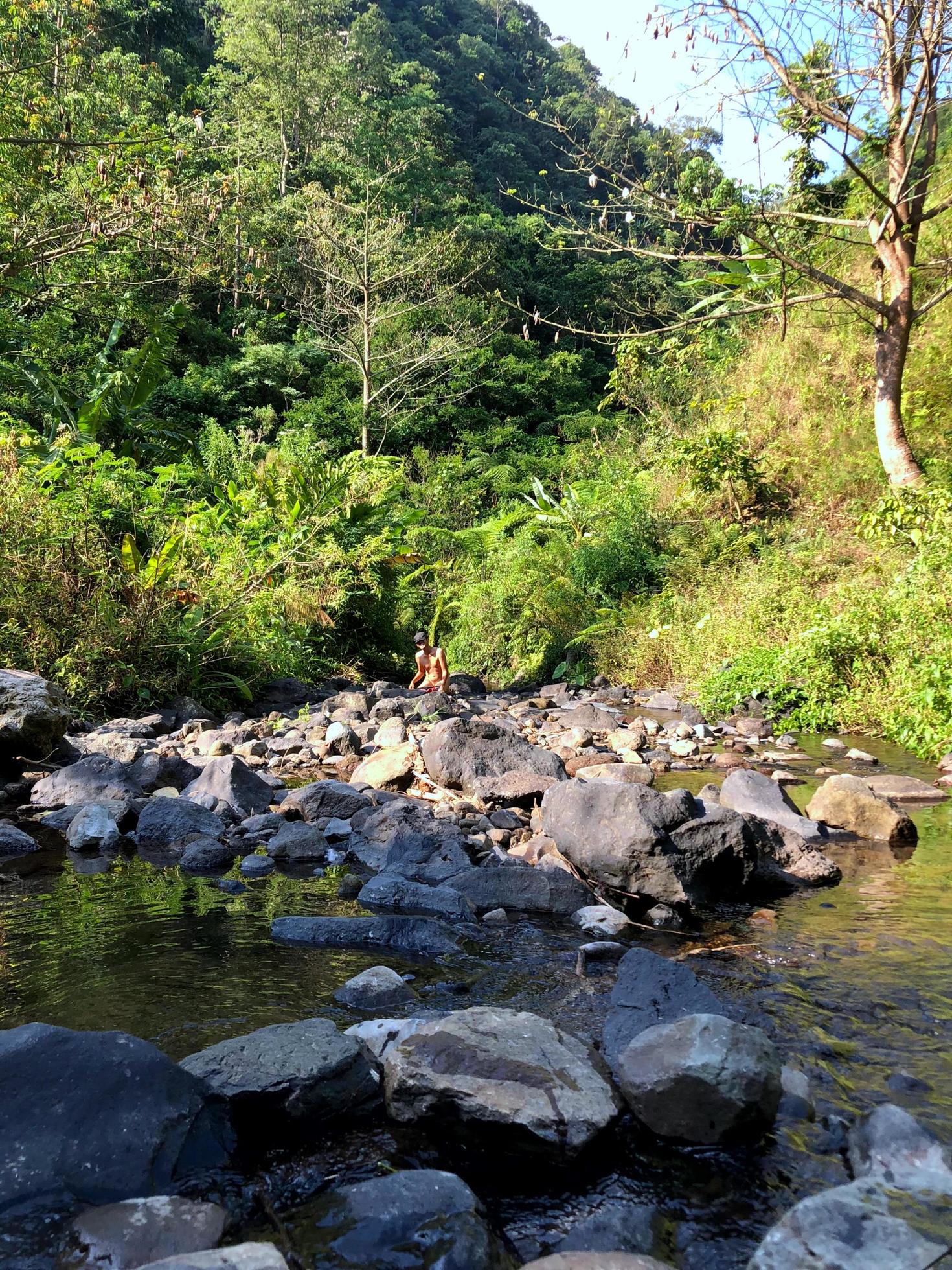 River Water Stream in Rain Forest. Stock Free