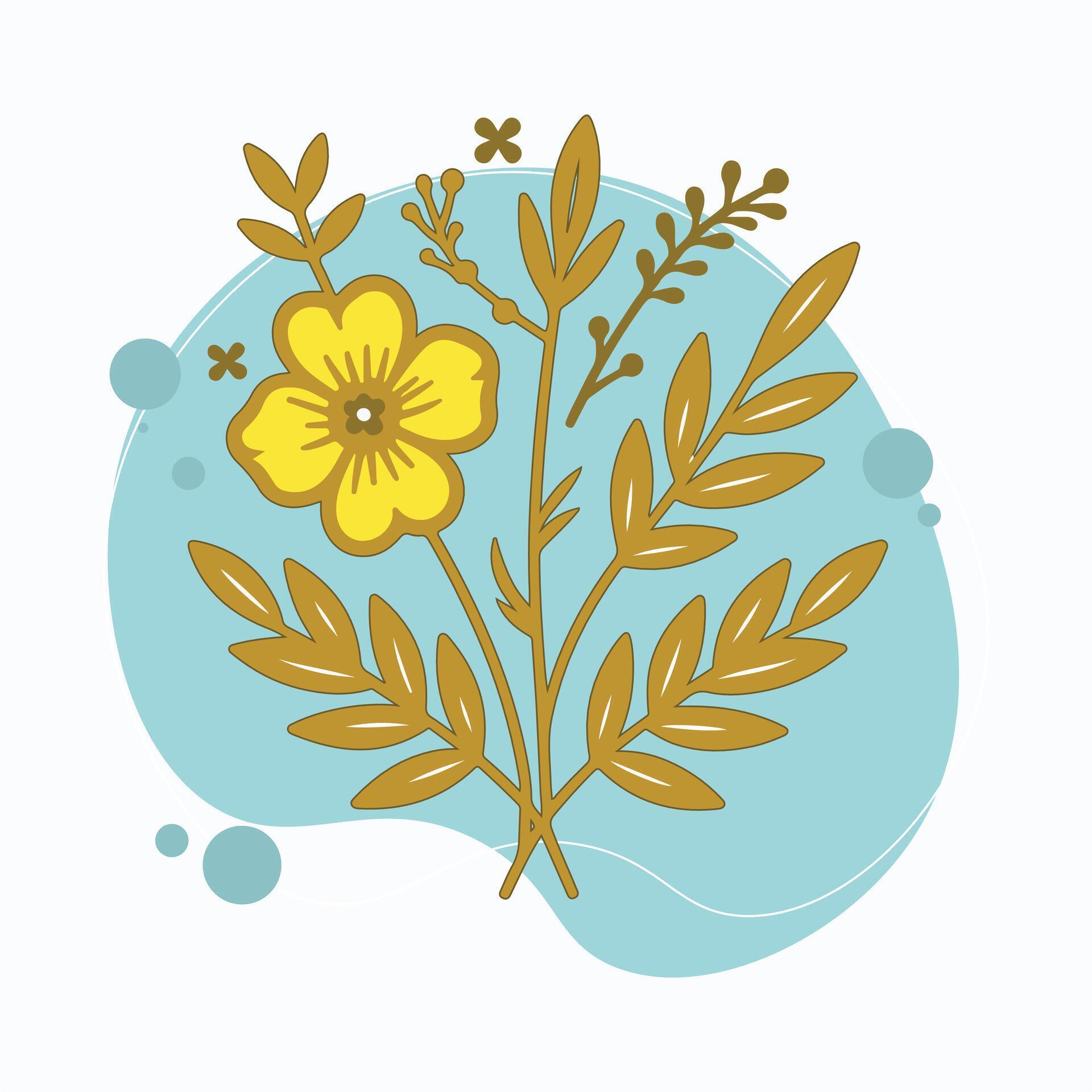 Simple and botanical vector flowers, flat design Stock Free