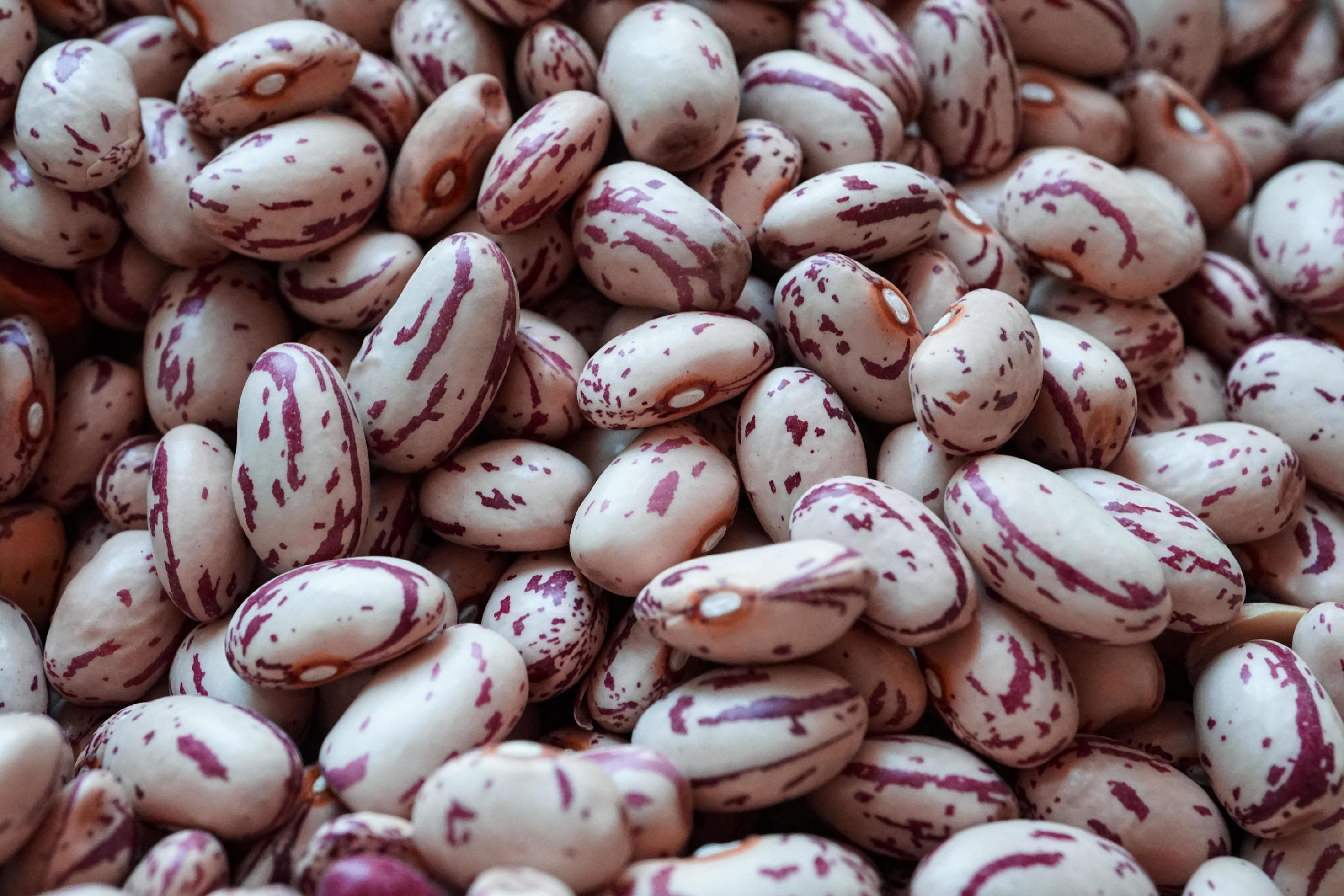 uncooked red beans, healthy food Stock Free