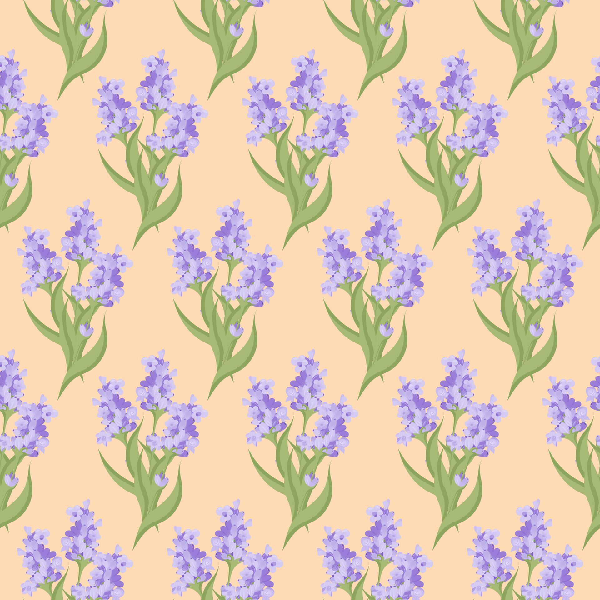 A sprig of lavender. Purple flower. Seamless pattern. illustration. Stock Free