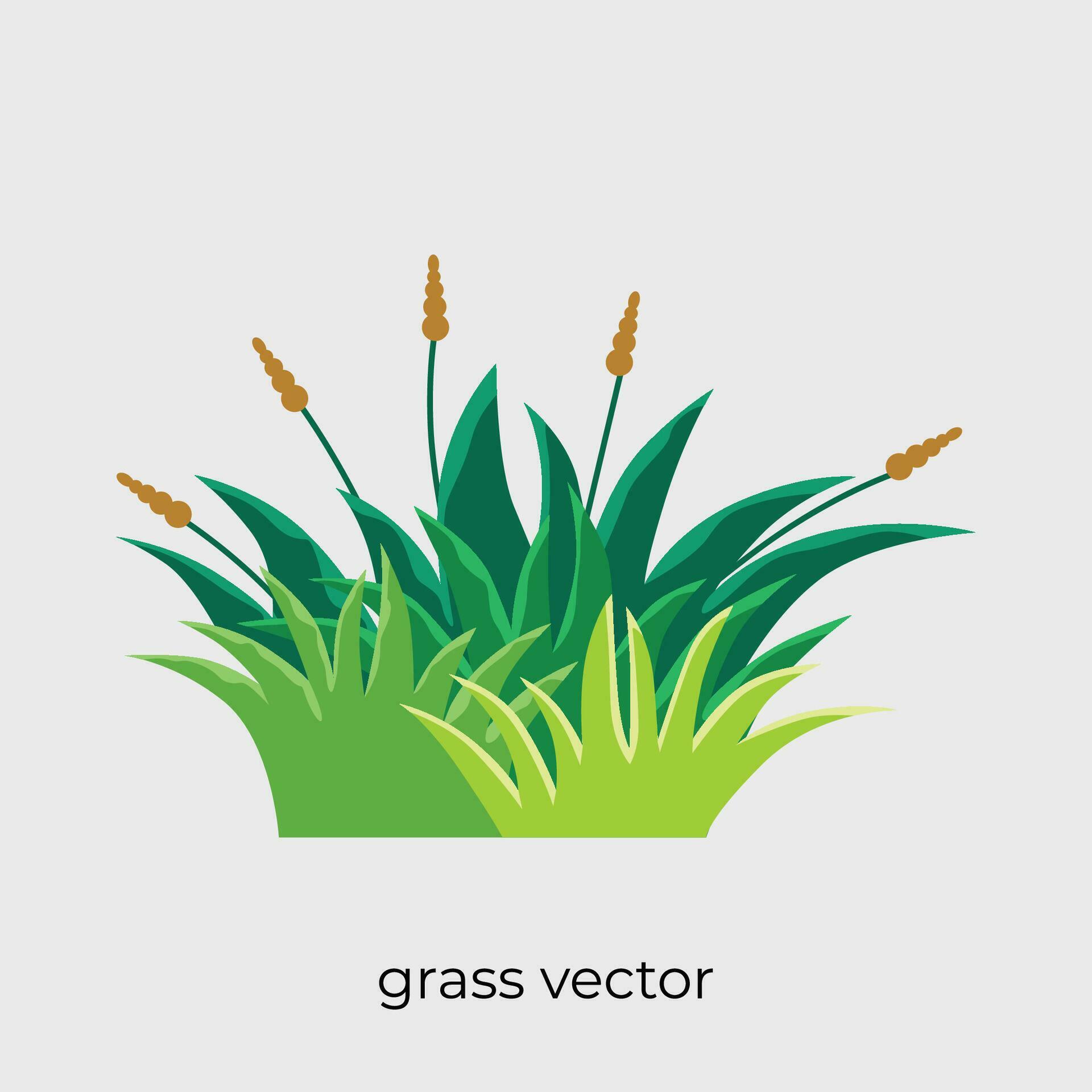 grass vector in flat style single illustration with flowers Stock Free