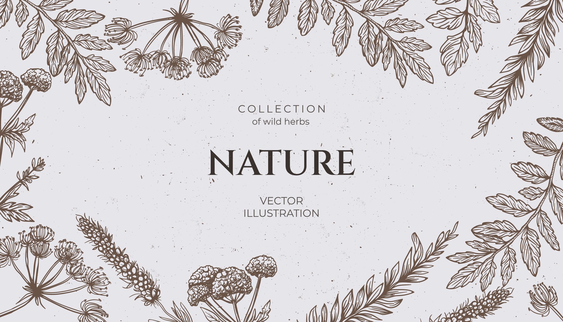 Background various wild herbs with a grunge background, space for text. Hand drawn in pencil style, featuring wild weeds. Vintage vibe banner. Free Vector