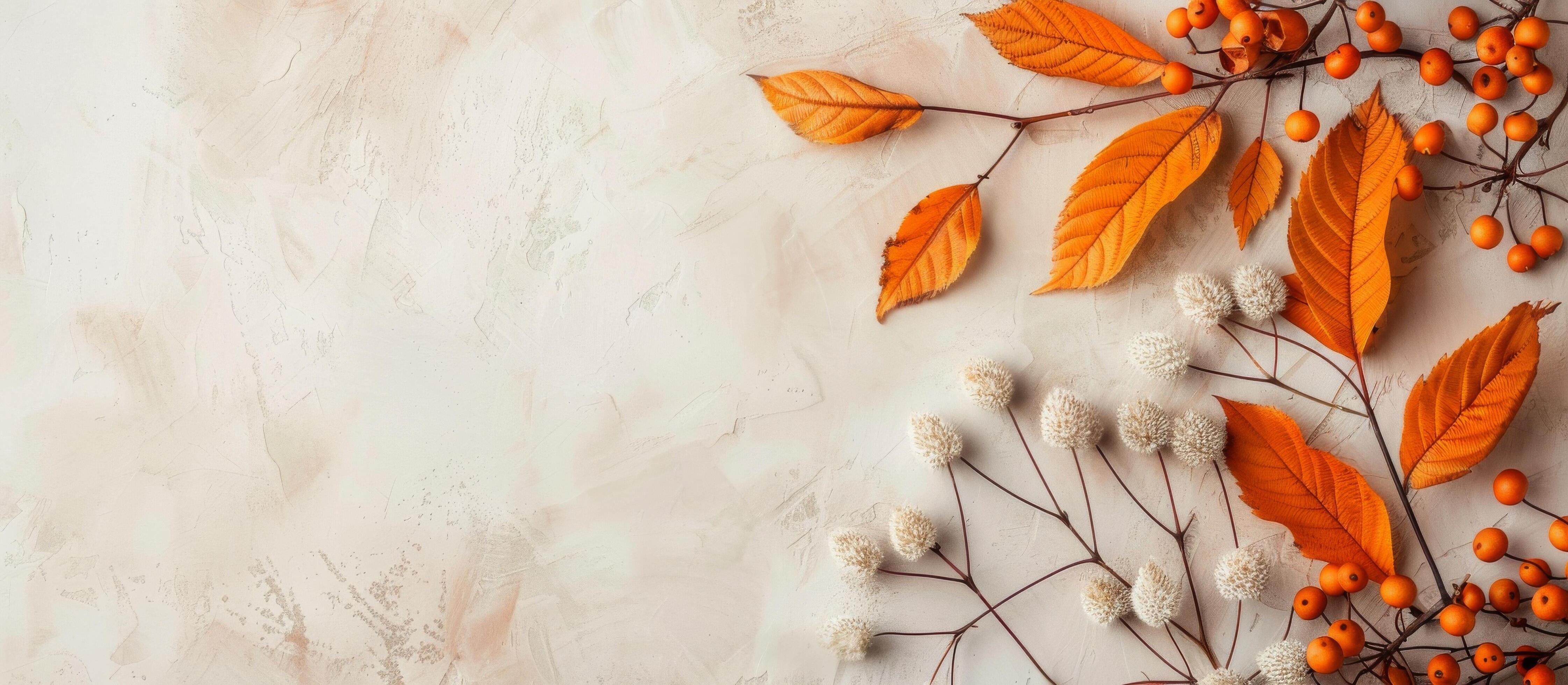 Autumn Leaves on Beige Background Stock Free