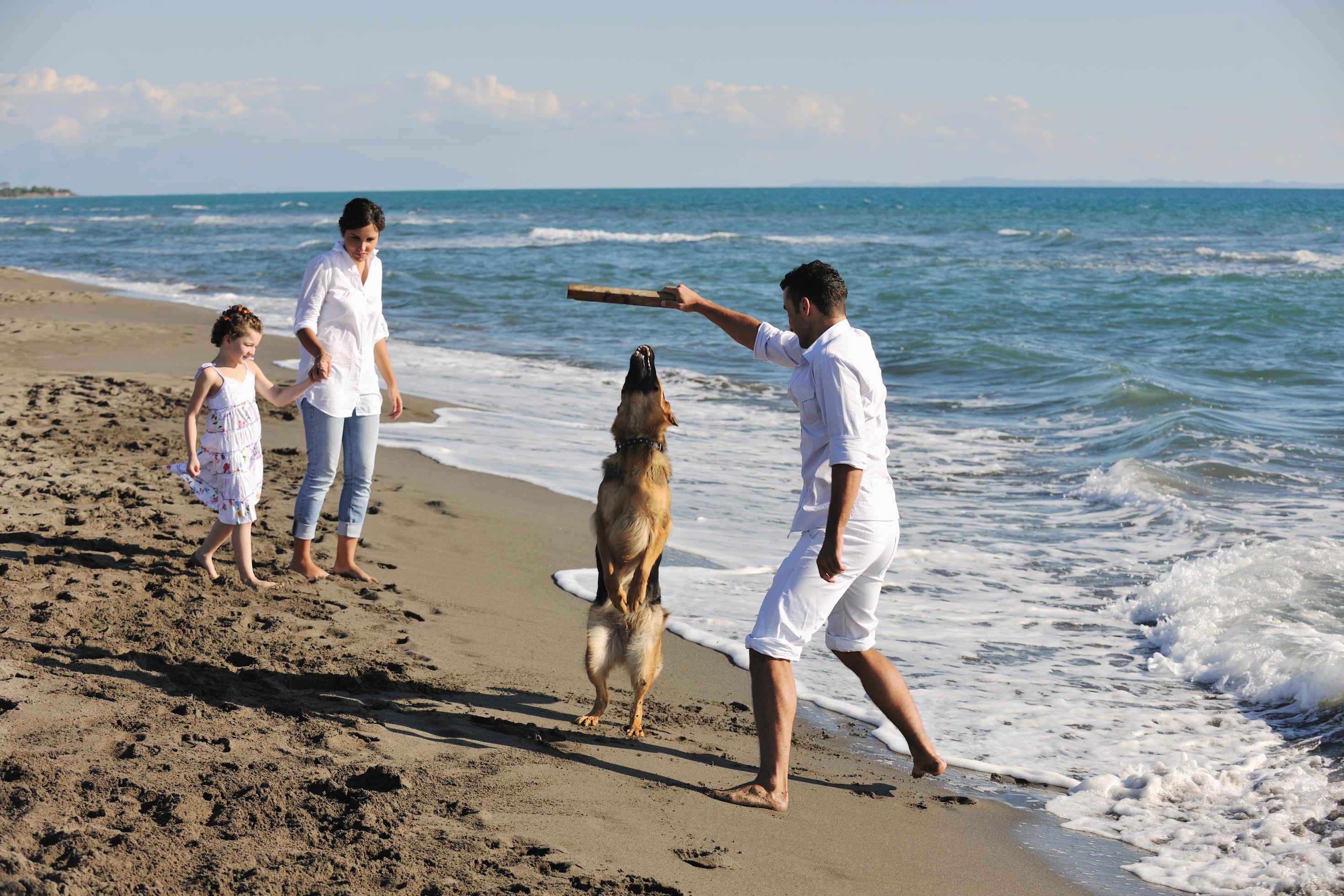 happy family playing with dog on beach Stock Free