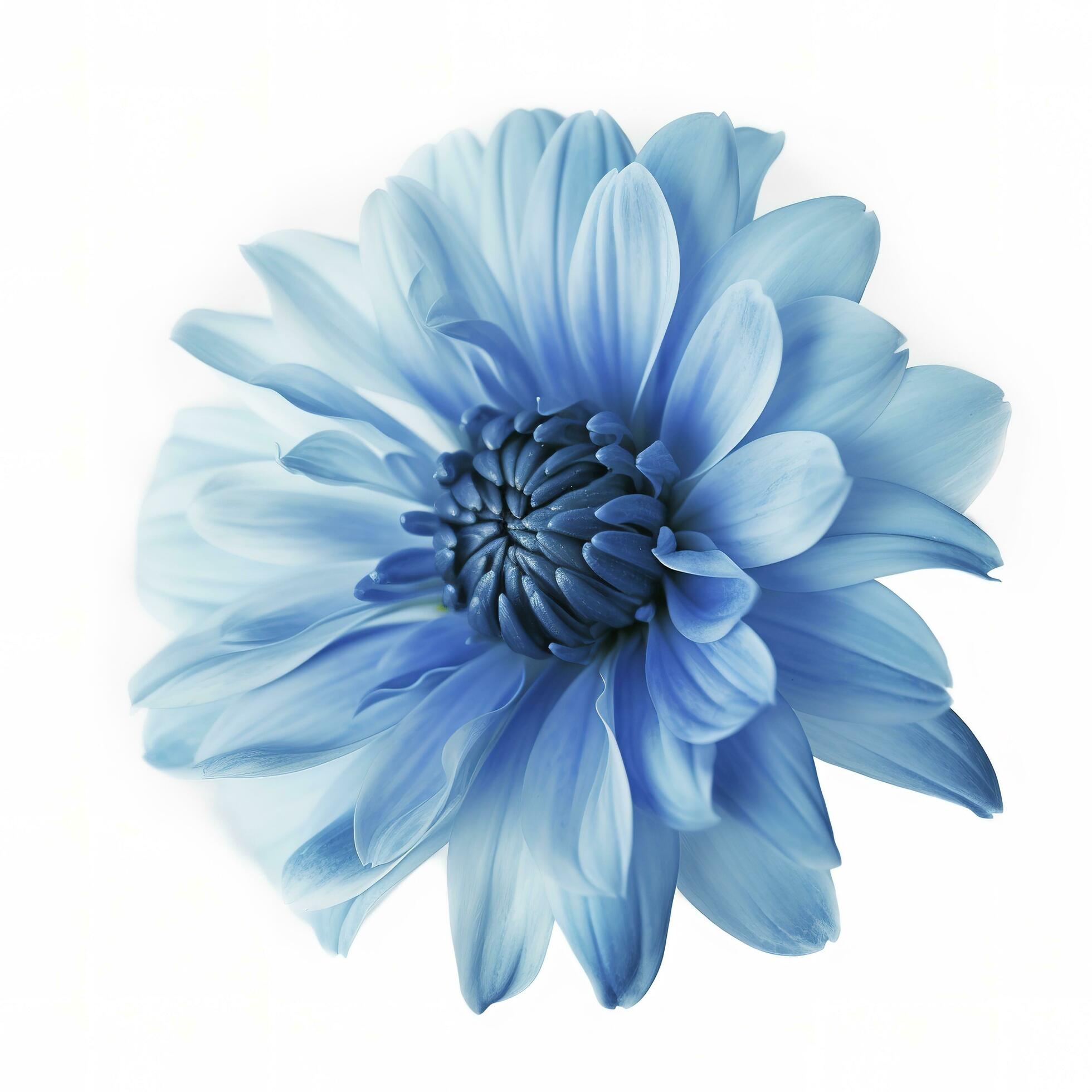 Blue flower isolated on white background, png with transparency , generate ai Stock Free