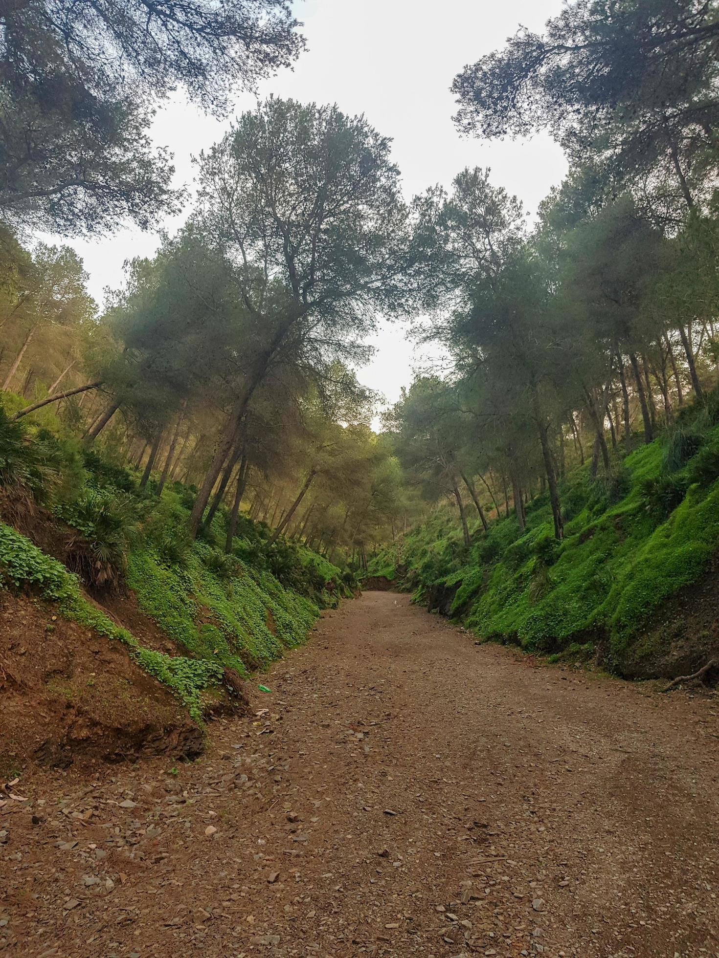 Joy of walking on a nature trail to discover the scenery of the mountains Stock Free