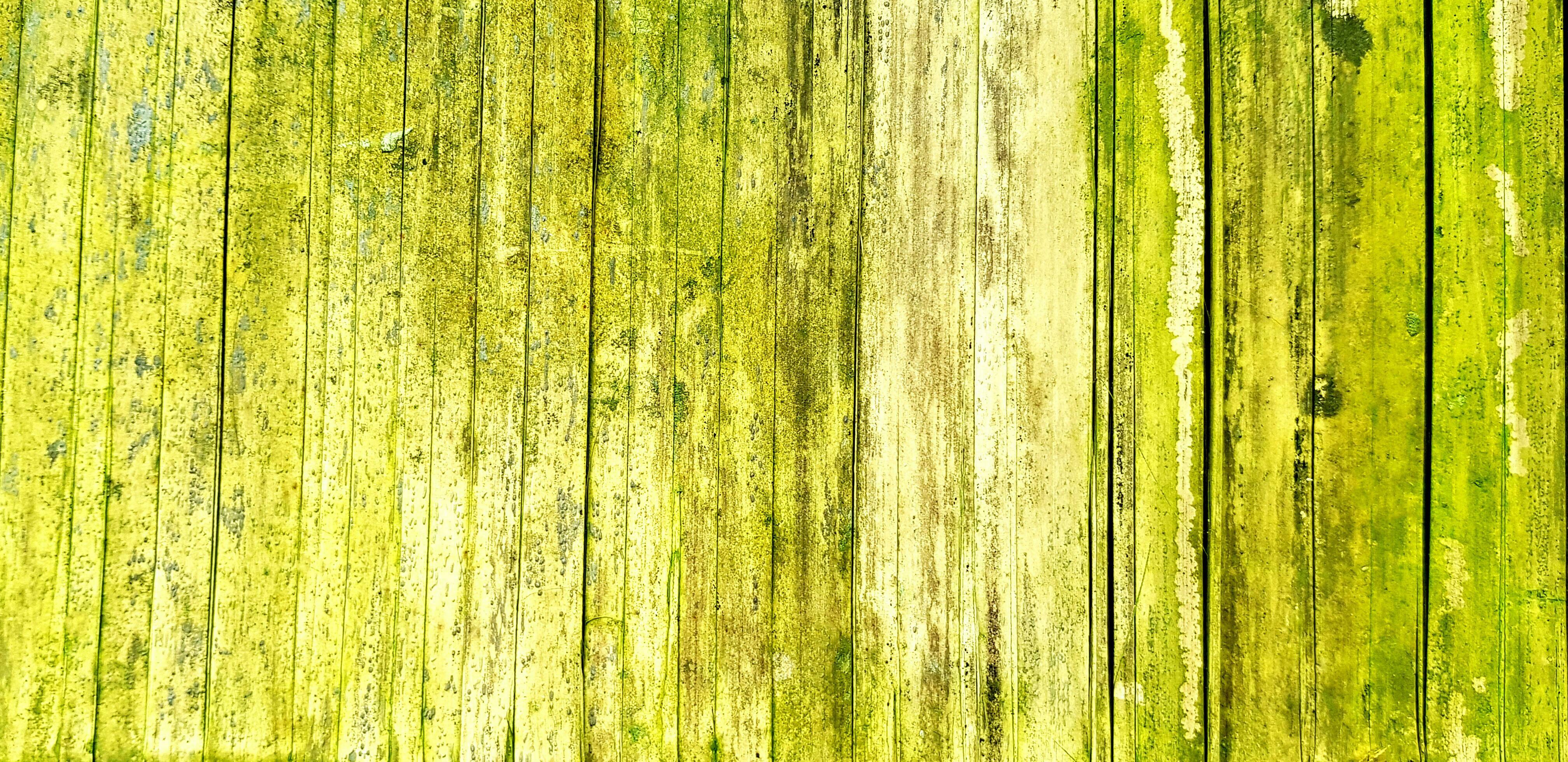 Old green and white grunge bamboo background. Natural material and Human made or built it. Art and pattern of surface concept. Stock Free