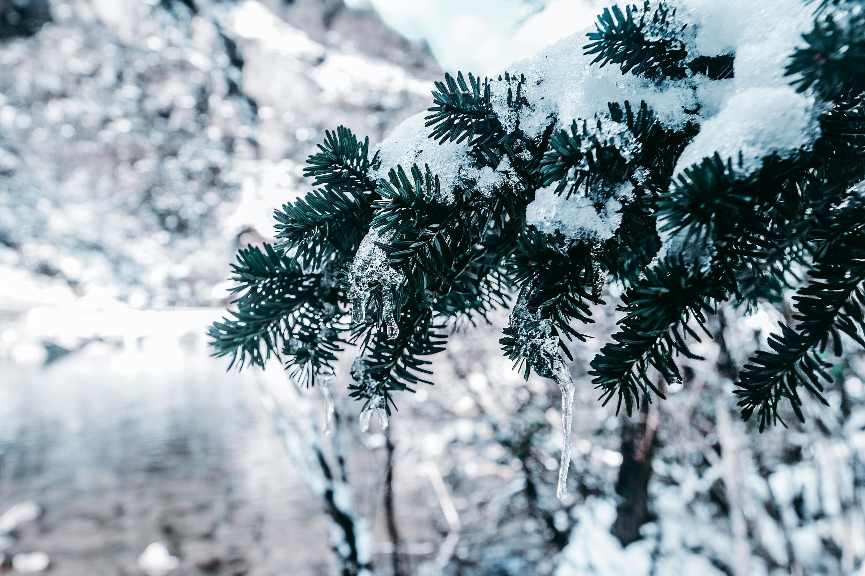 Spectacular scenery in the high mountains of western Sichuan, China, with different seasons Stock Free