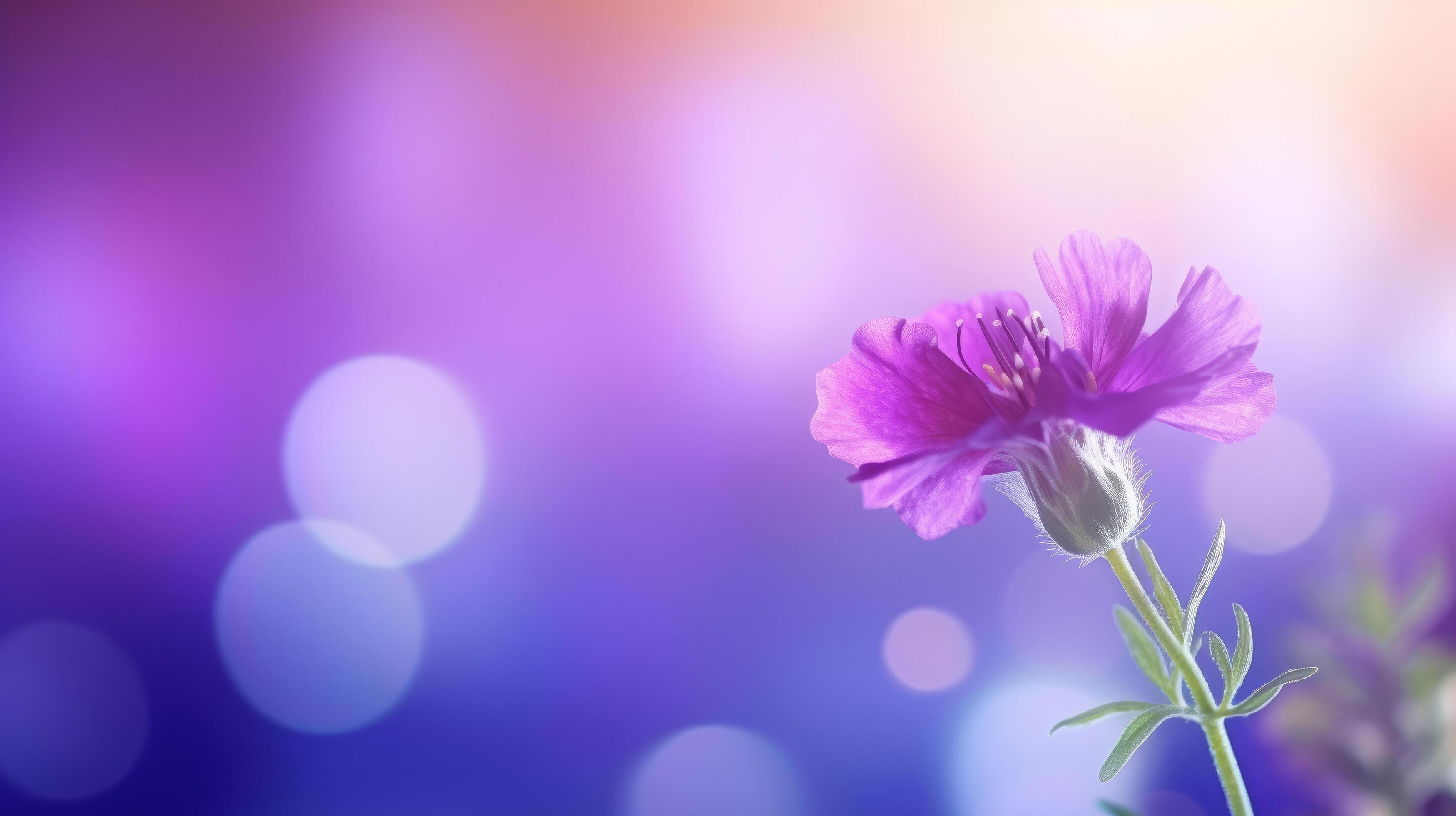 Violet flower background. Illustration Stock Free