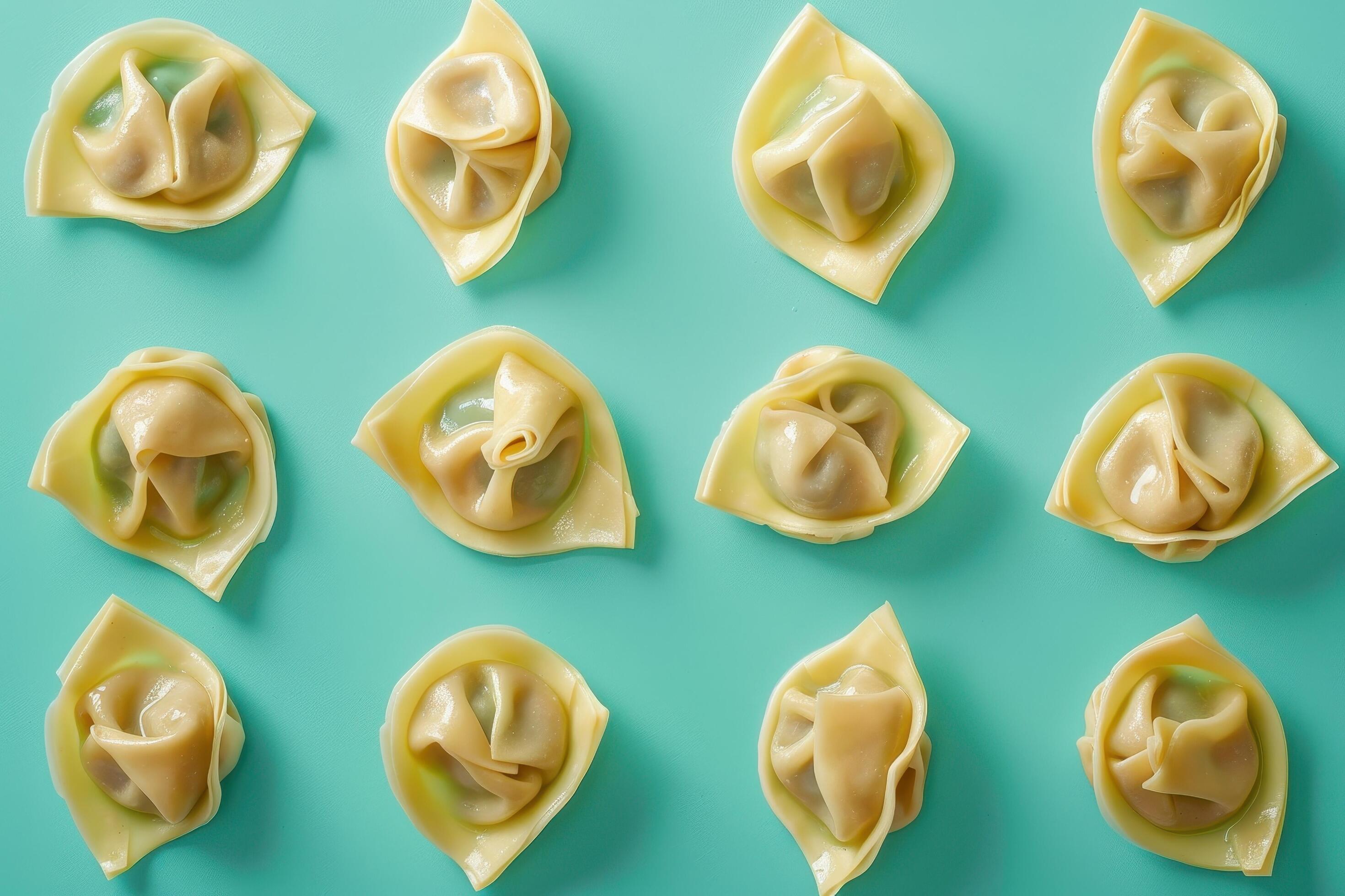 A Dozen Uncooked Wontons on Turquoise Background Stock Free