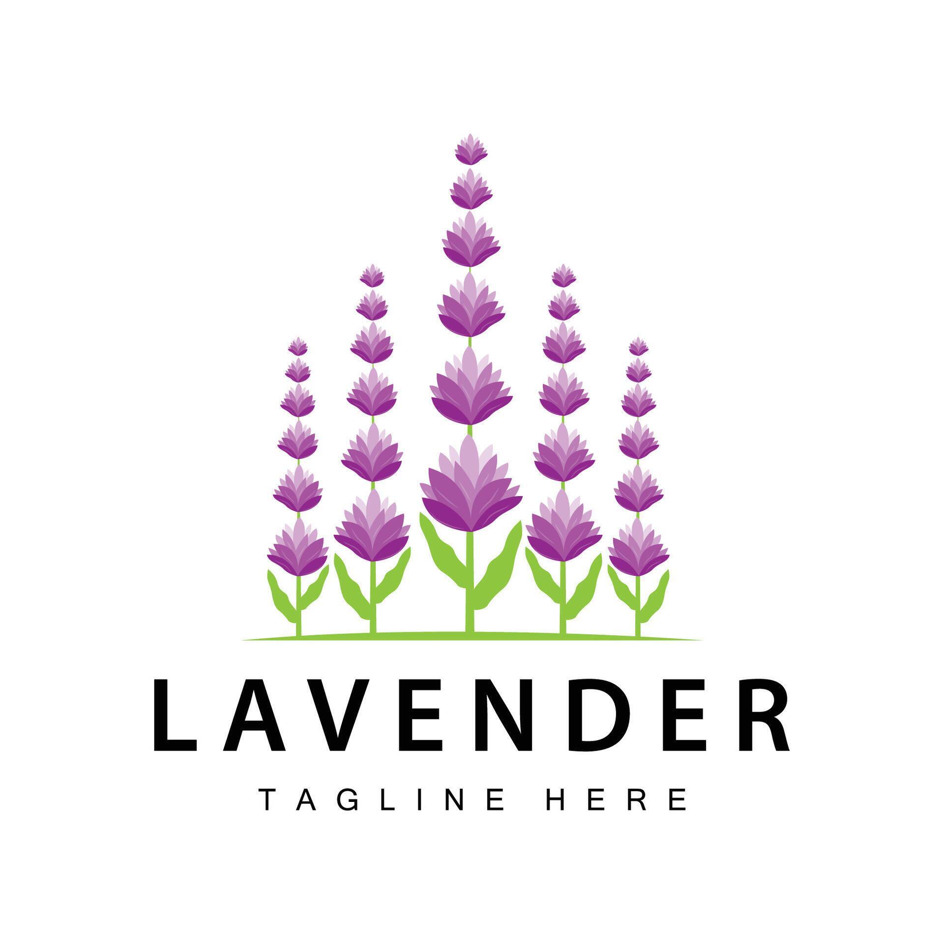 Lavender logo simple design vector cosmetic plant purple color and aromatherapy lavender flower garden template Stock Free