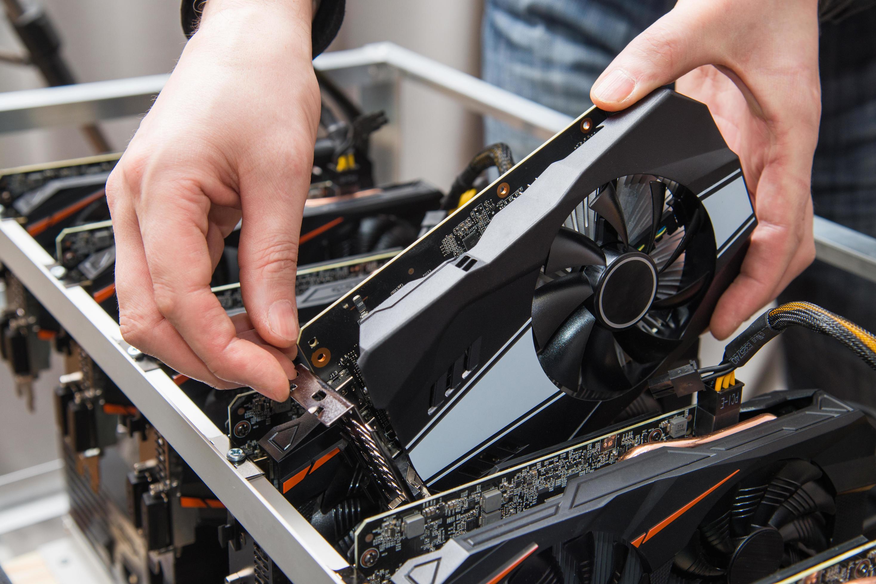 Man’s hands connecting a new graphics card to mining farm. IT equipment. Cryptocurrency business. Stock Free