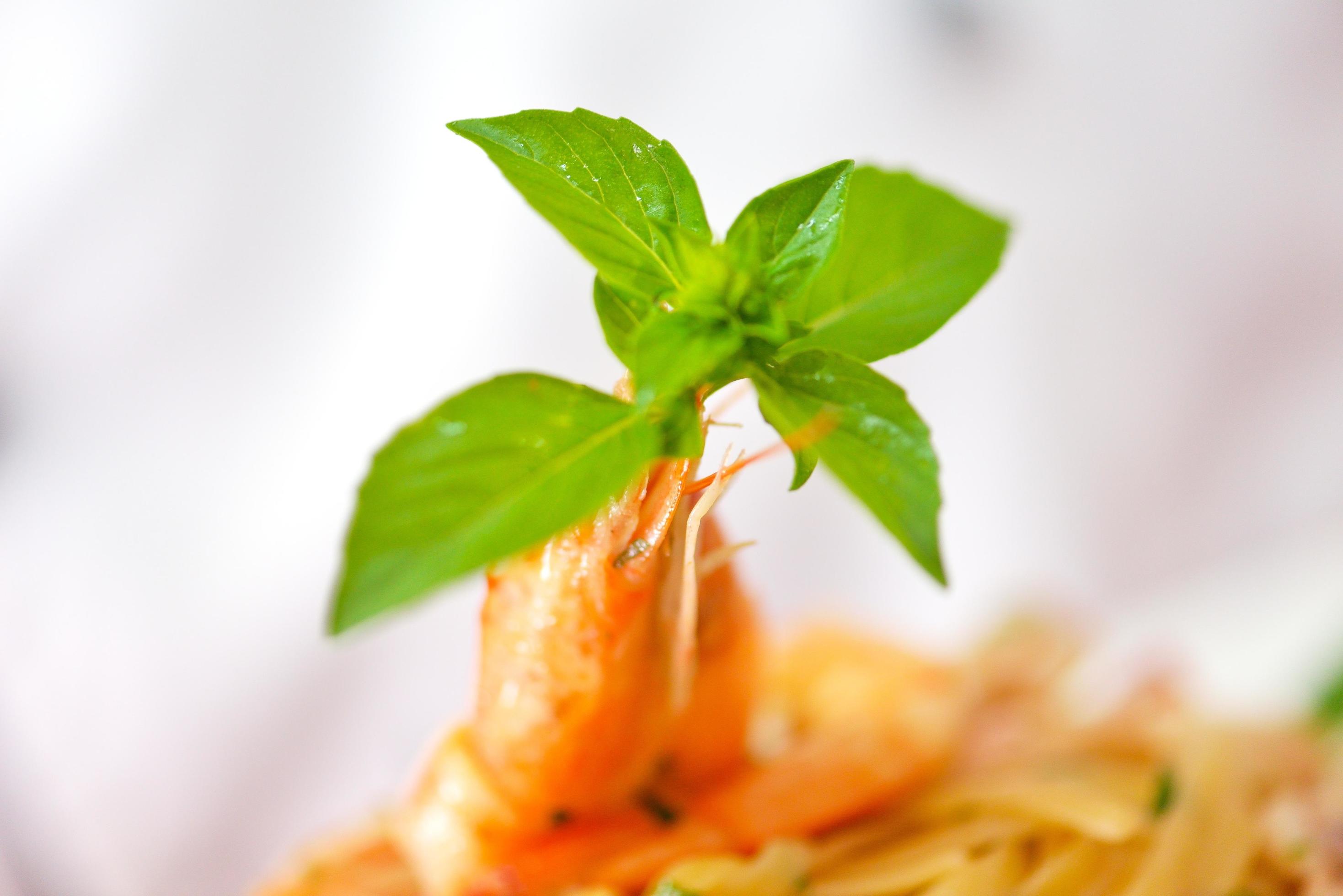 Chef preparing food Stock Free