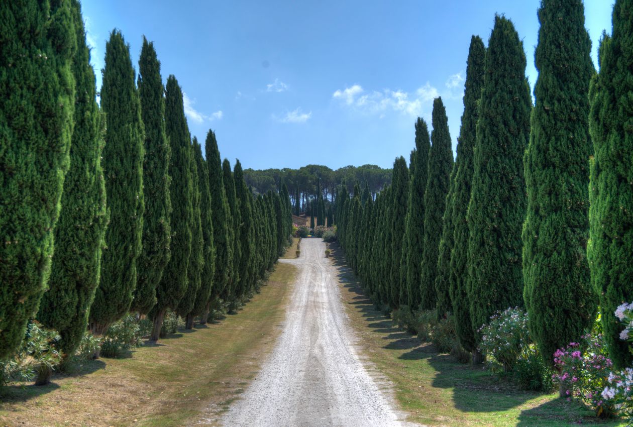 Tuscan driveway Stock Free