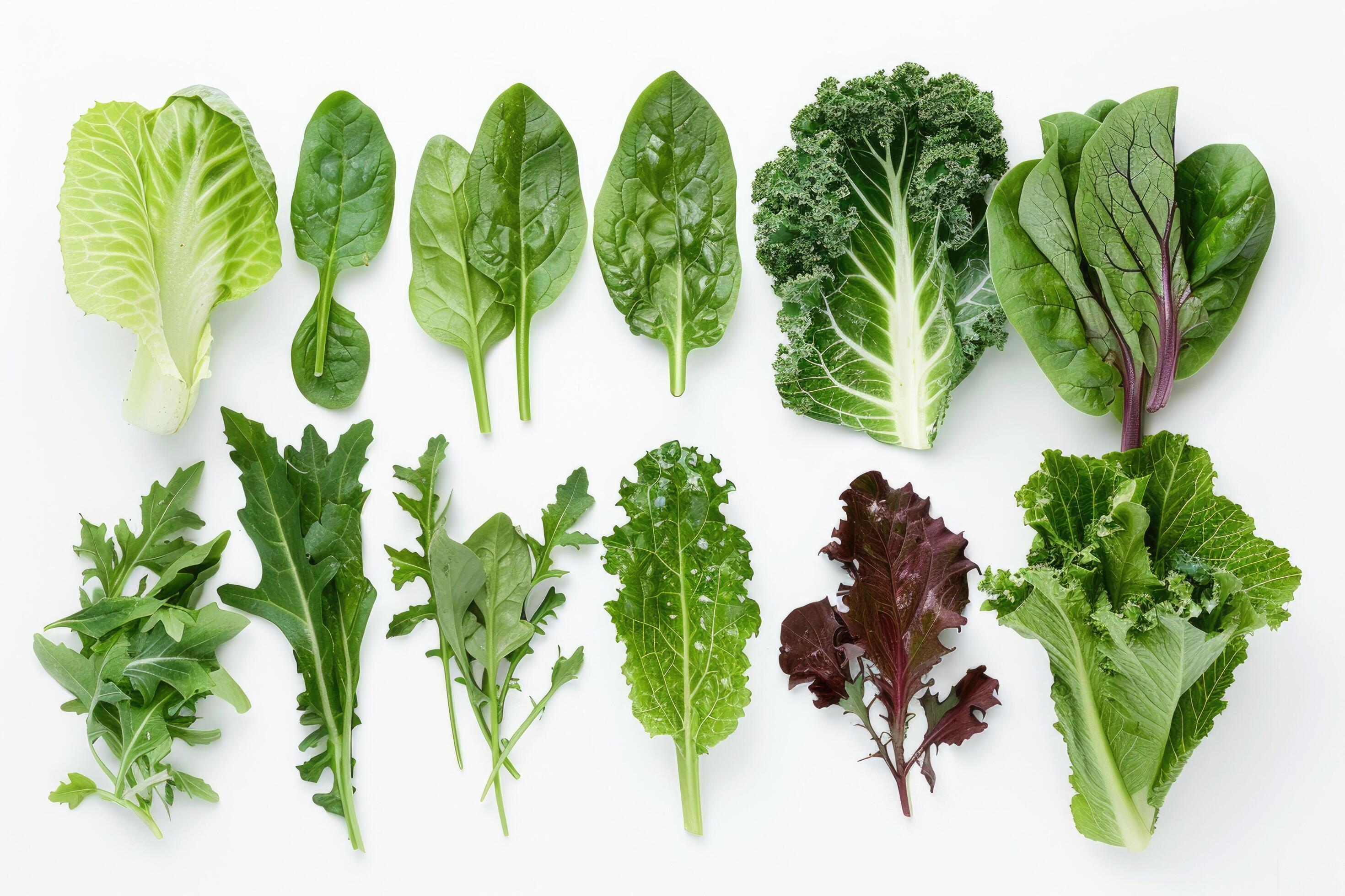 A variety of leafy greens arranged on a white background Stock Free