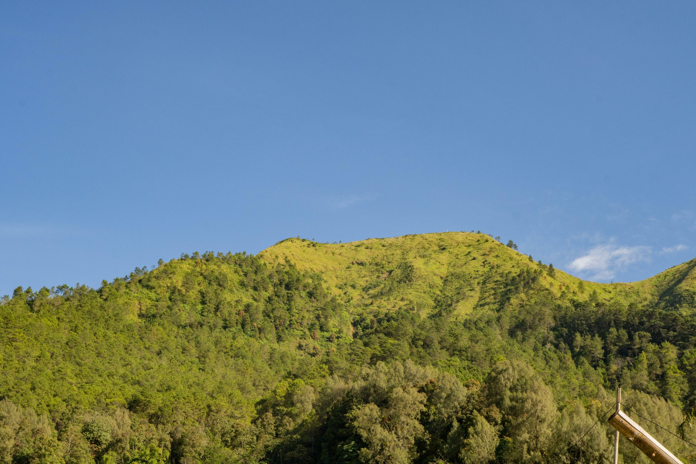 Landscape mountain when morning time sunlight summer vibes. The photo is suitable to use for adventure content media, nature poster and forest background. Stock Free