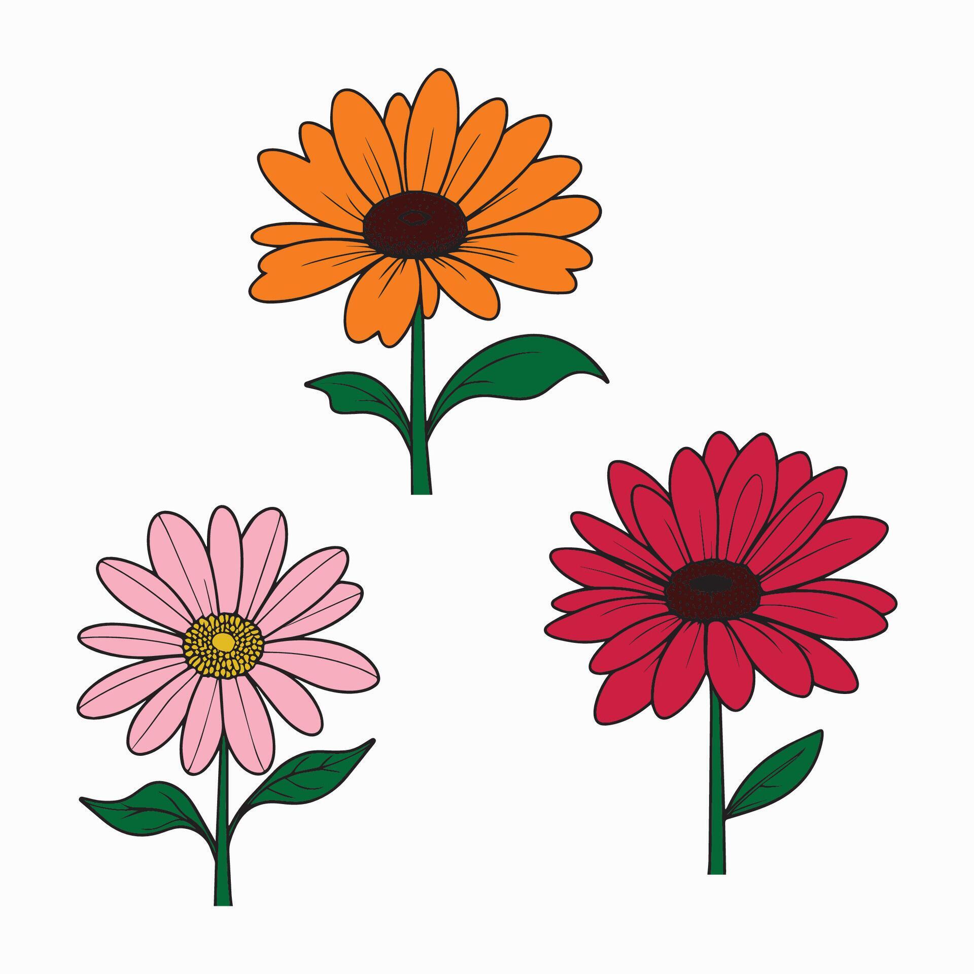 colourful daisy flower vector Stock Free