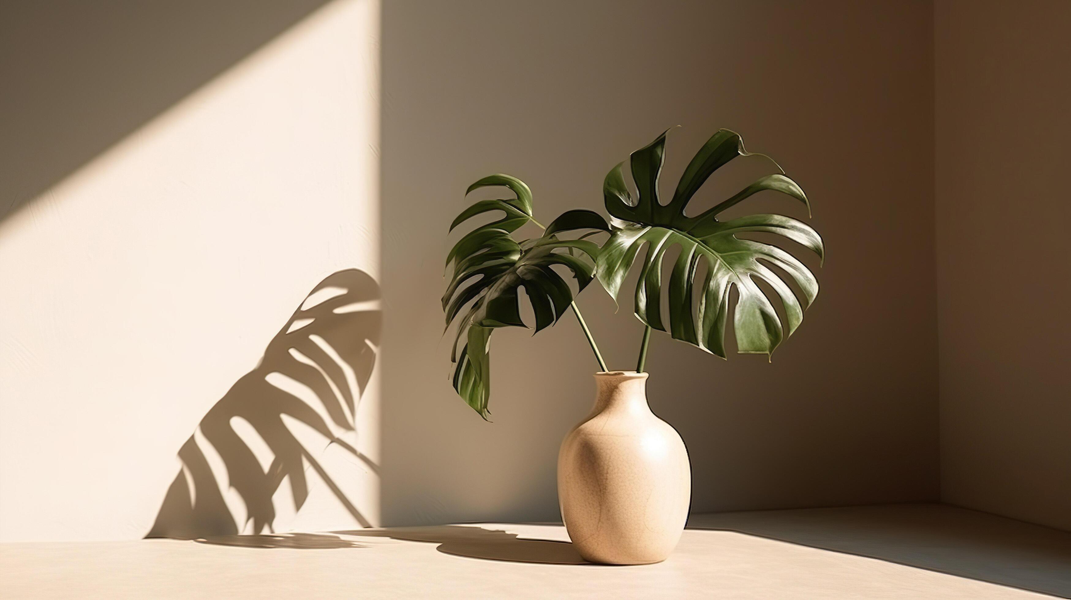 Modern summer minimal of plant in sunlight with long shadows on beige wall background, copy space interior lifestyle Mediterranean scene Stock Free